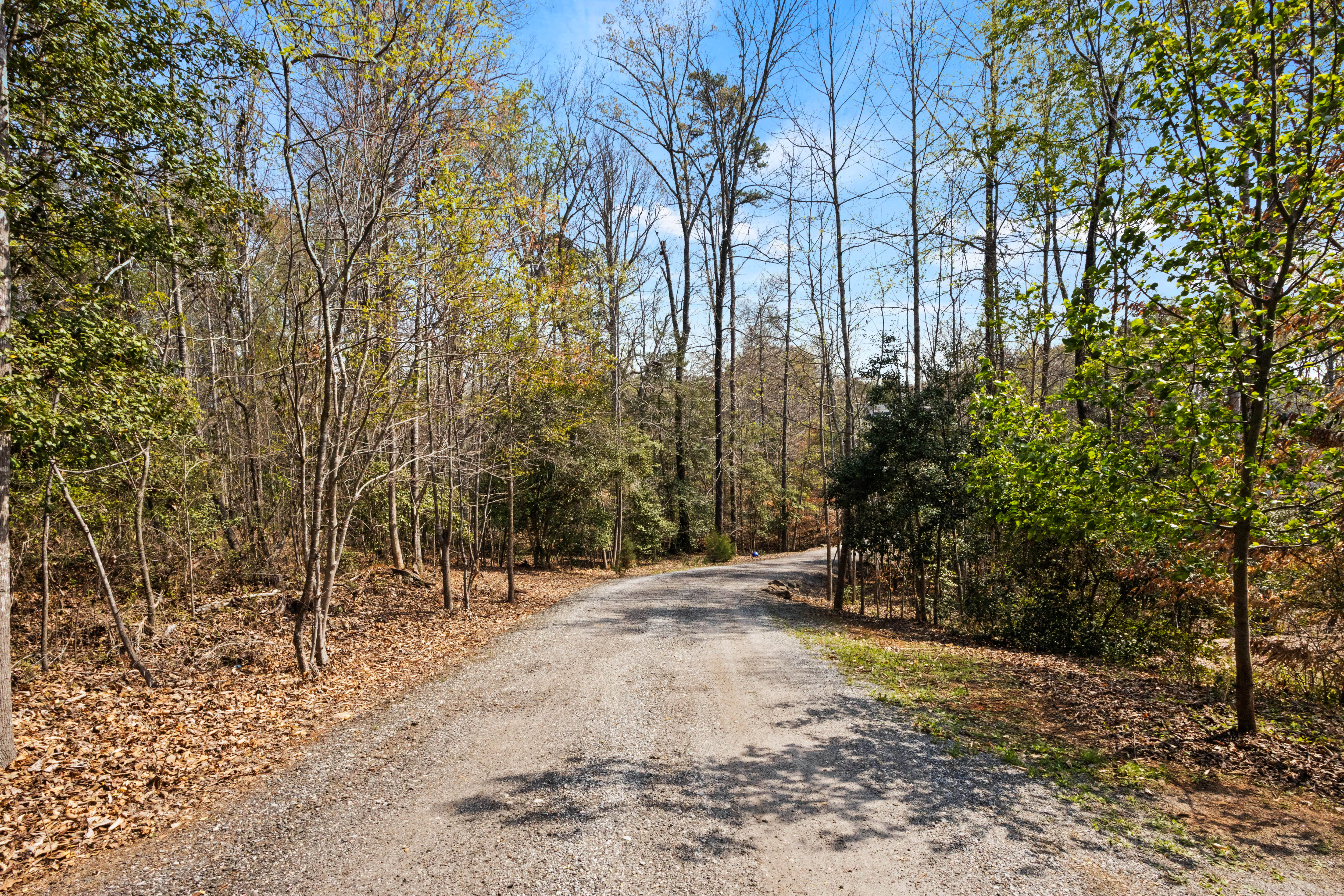  185 Nicholls Drive, Spartanburg, SC 29301 - 物件實景