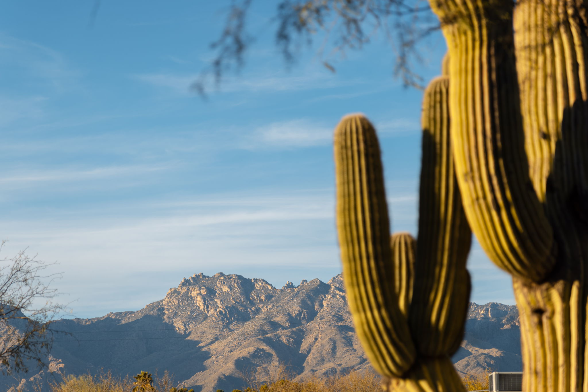  7076 East Arrowhead Drive¦Tucson, AZ - 物件實景