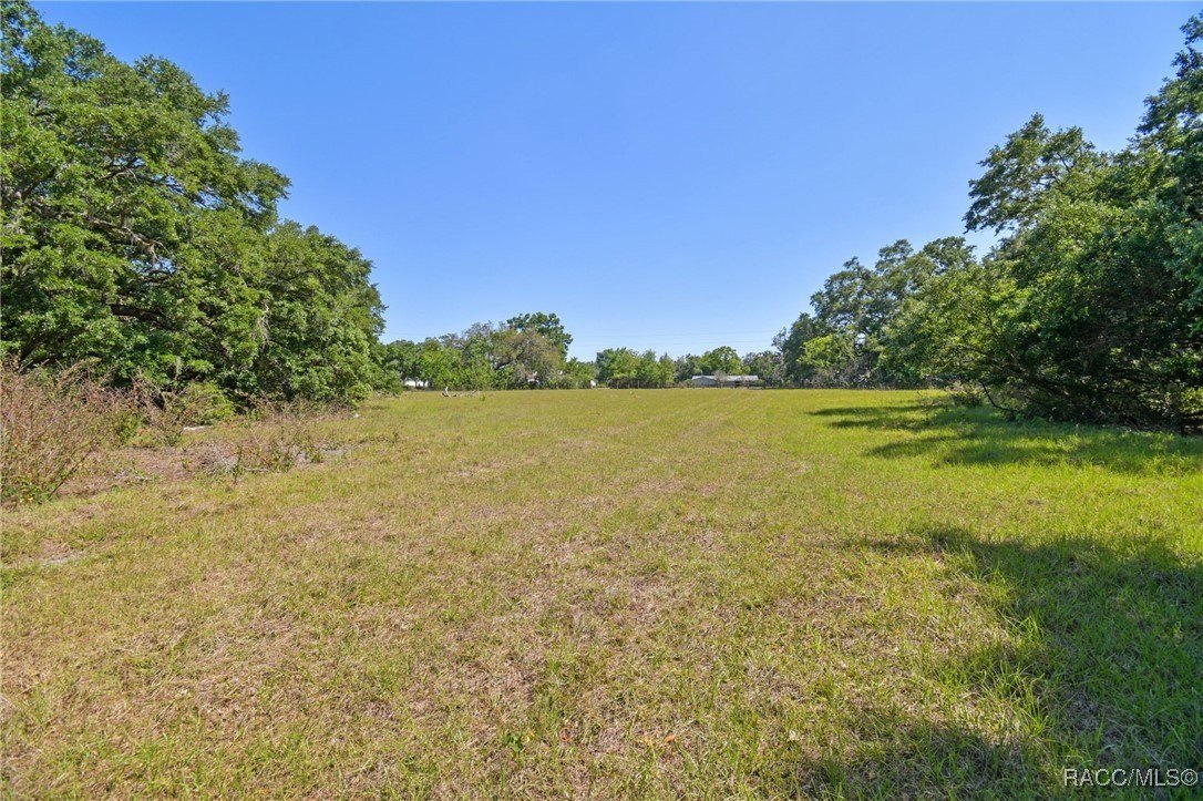 Brandon, Florida, 33511, United States, ,Land,For Sale,1981664