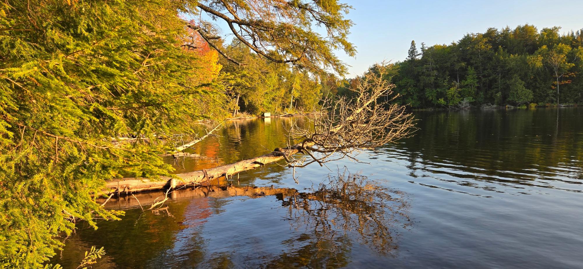 Presque Isle, Wisconsin, 54557, United States, ,Land,For Sale,1984076