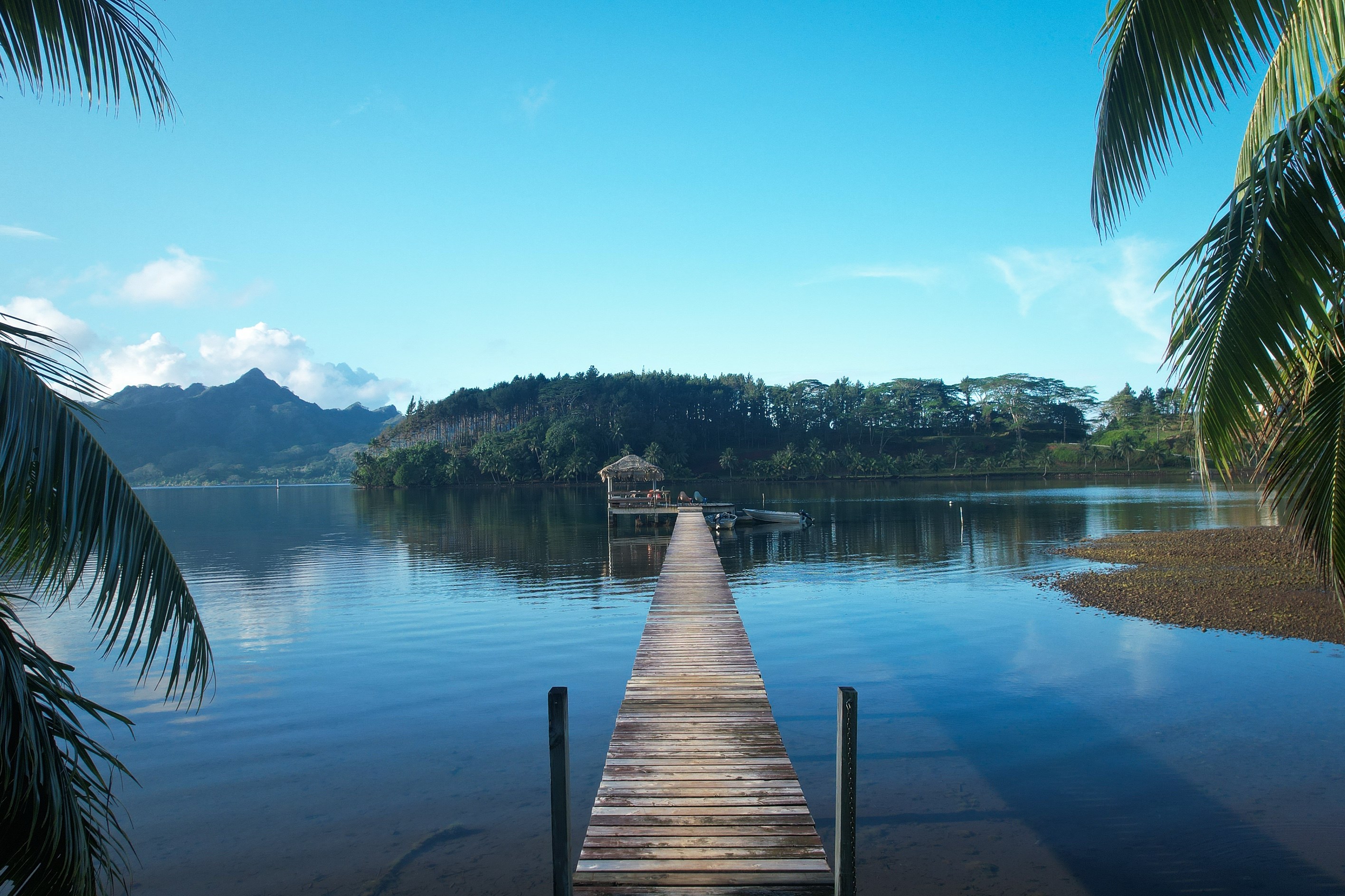  Huahine - Maroe - Houses on large plot - 物件實景