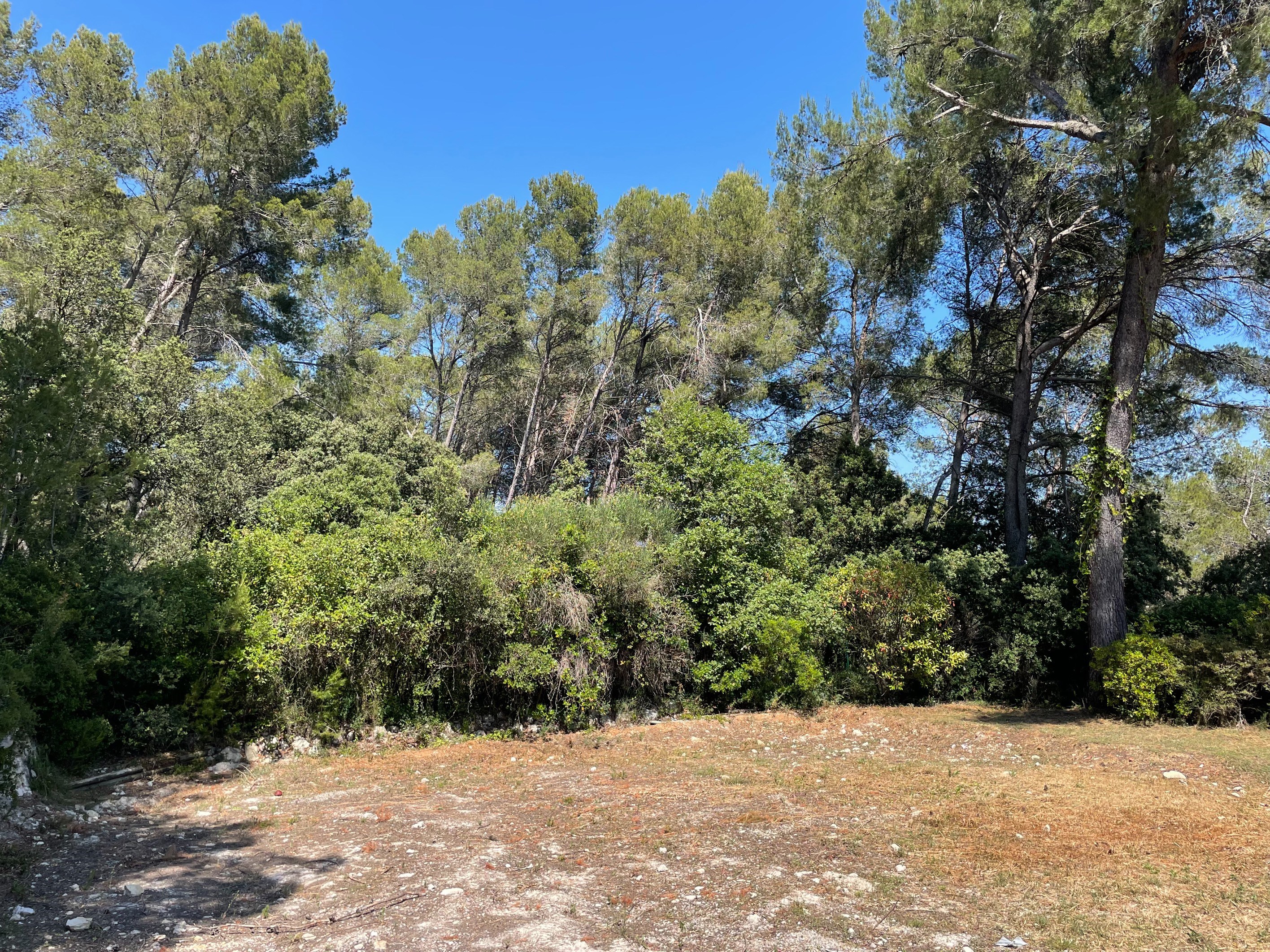  Exceptional property – Plan des Quatre Seigneurs, Montpellier - 物件實景