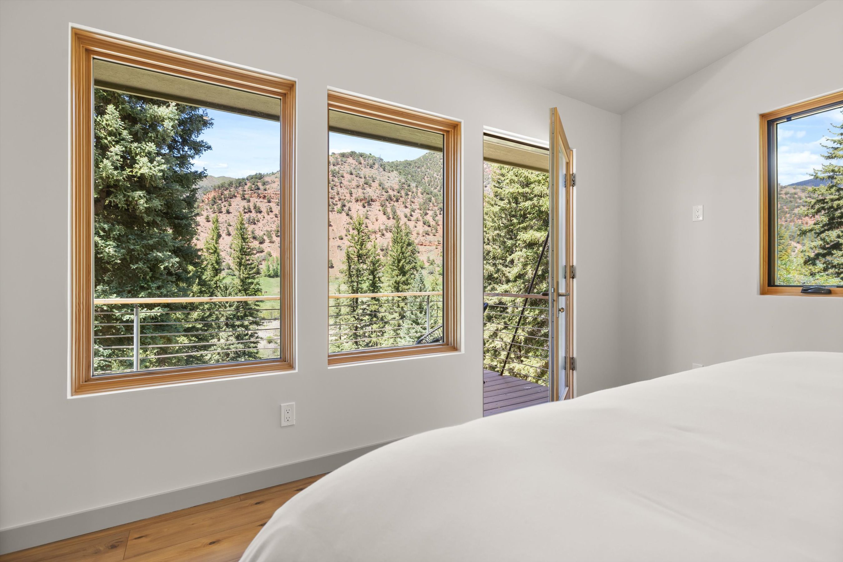  768 Kings Lake Road, Basalt, CO 81621 - 物件實景