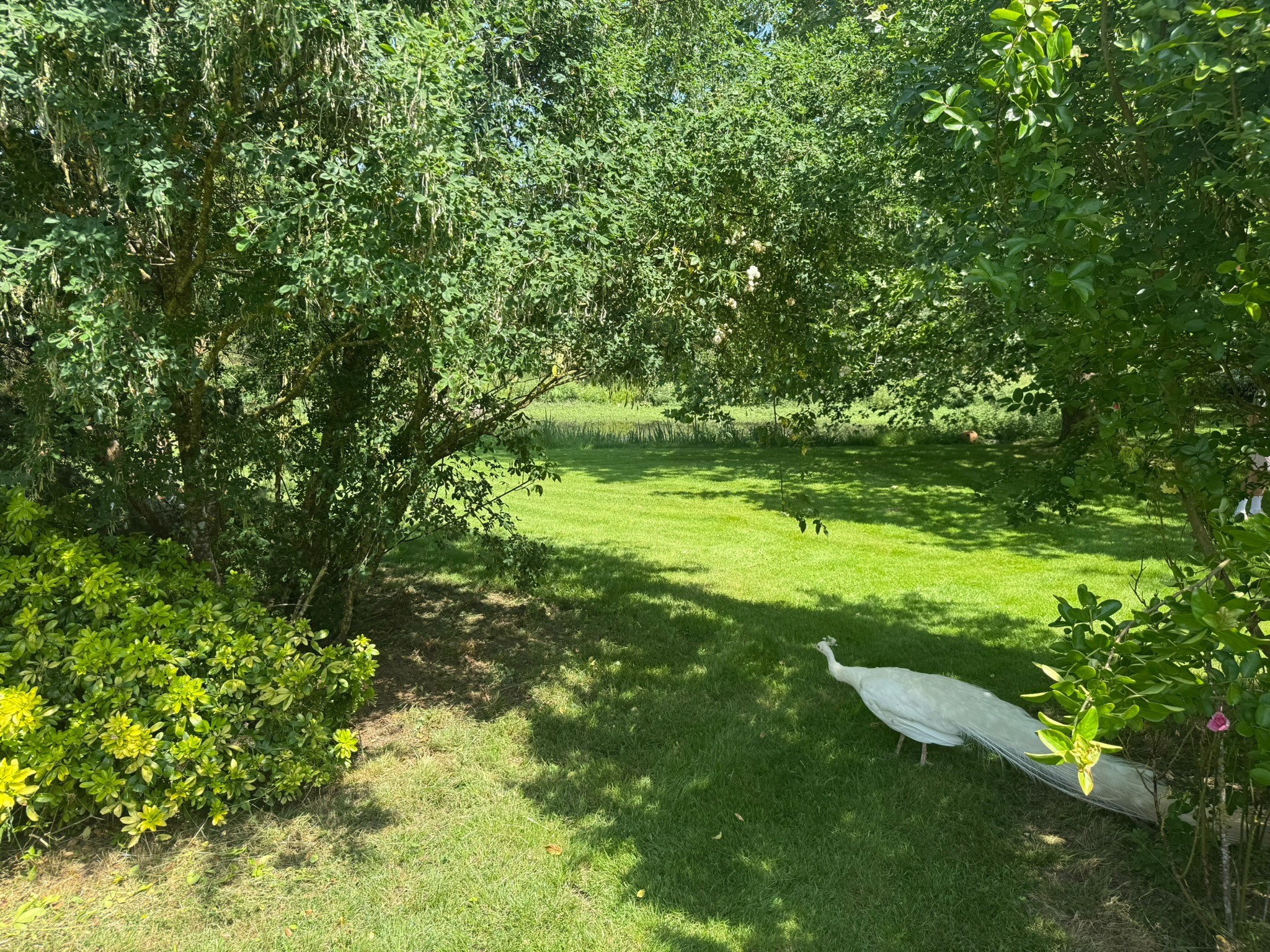  Equestrian property with 9 hectares stables and 2 houses - 物件實景
