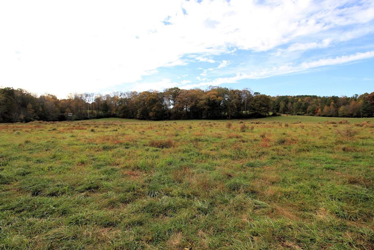 Bowdon, Georgia, 30108, United States, ,Land,For Sale,1989904