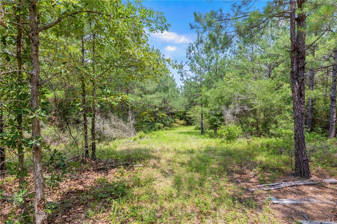 1781 Barham Road, Hornbeck, Louisiana, 71439, United States, 2 Bedrooms Bedrooms, ,2 BathroomsBathrooms,Residential,For Sale,1781 Barham Road,1623067