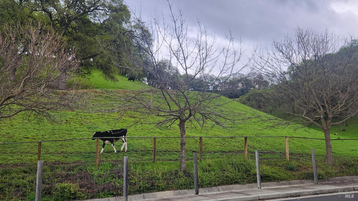 Fairfield, California, 94534, United States, 4 Bedrooms Bedrooms, ,3 BathroomsBathrooms,Residential,For Sale,2021885