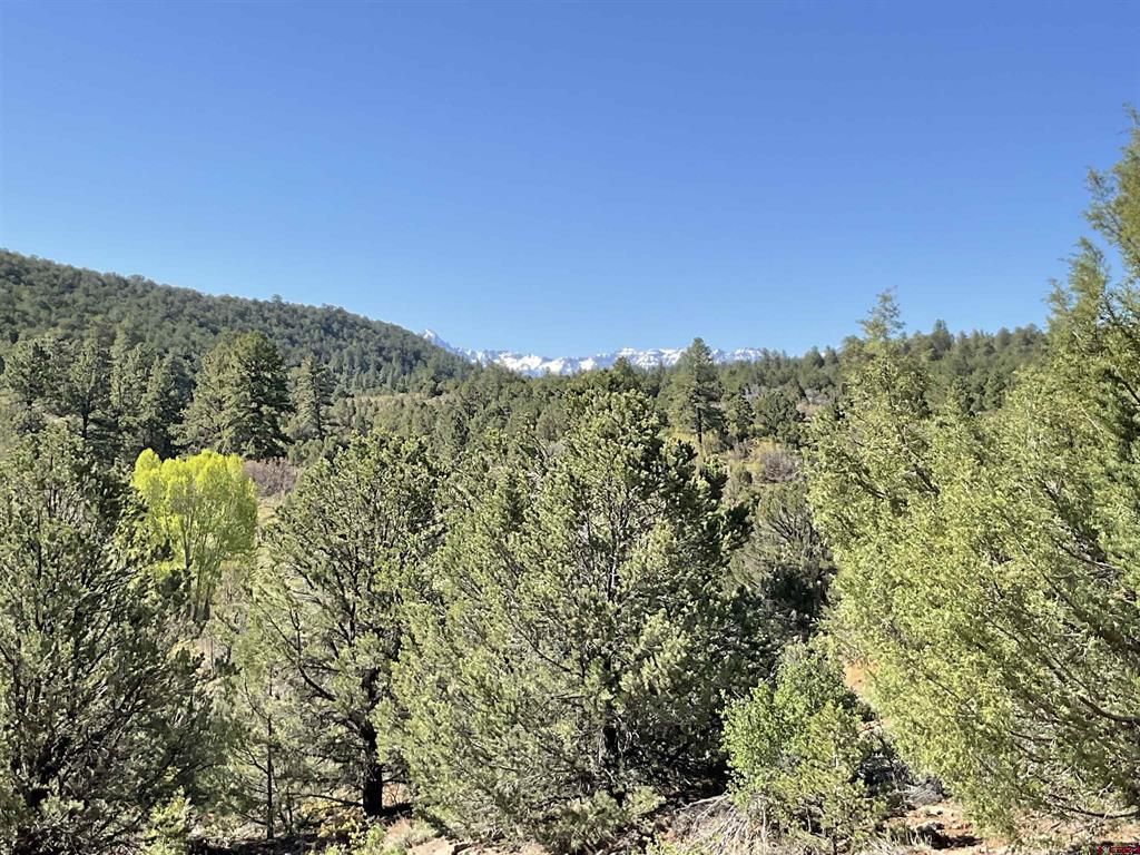 Montrose, Colorado, 81403, United States, ,Land,For Sale,1919926