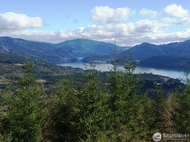 Bellingham, Washington, 98226, United States, ,Land,For Sale,1846536
