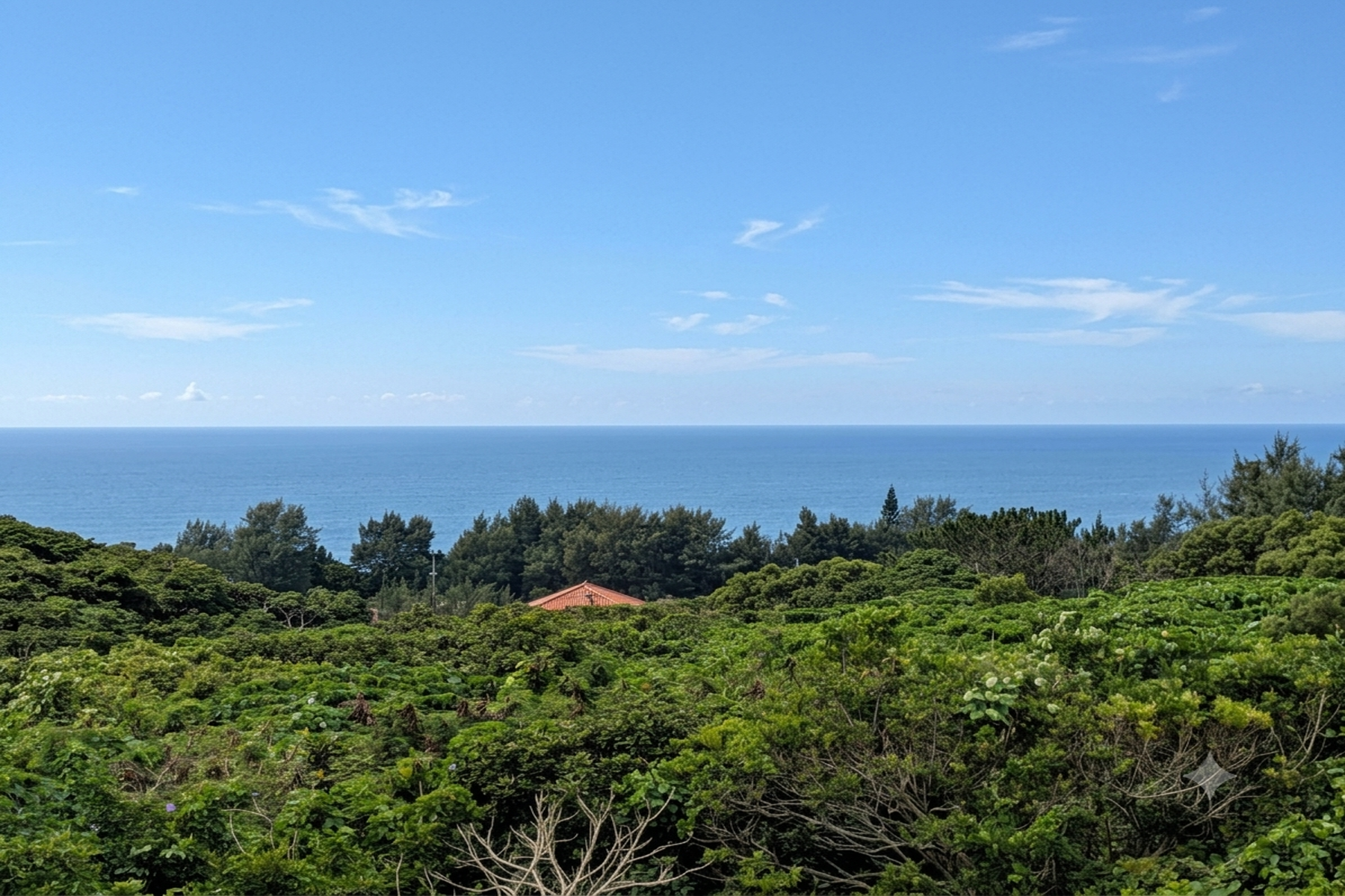  Detached house in Shinkawa, Ishigaki City - 物件實景