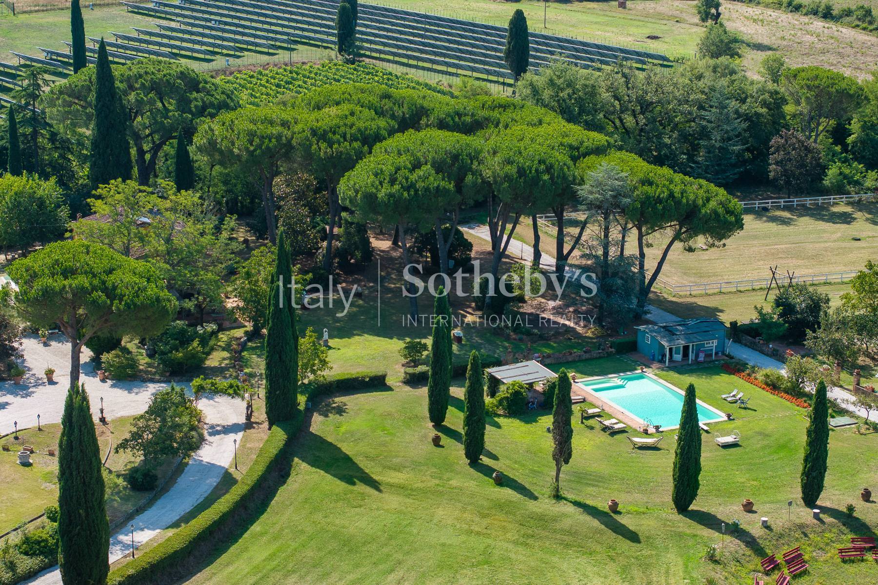  Estate with villa, swimming pool and organic vineyards - 物件實景