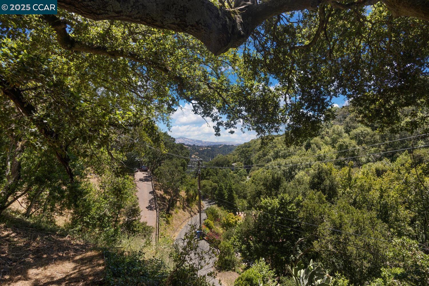 Orinda, California, 94563, United States, 6 Bedrooms Bedrooms, ,4 BathroomsBathrooms,Residential,For Sale,1838160