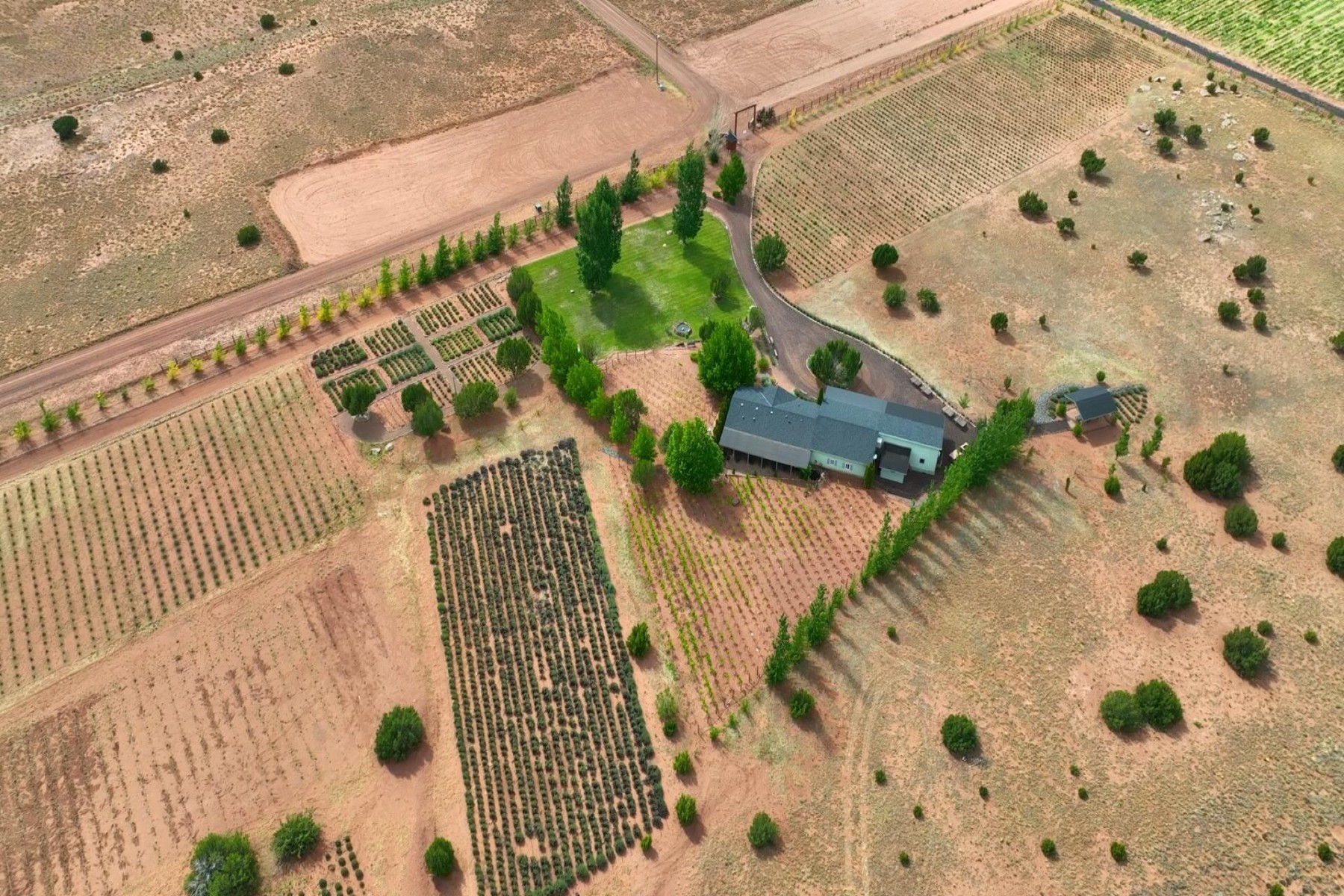  14 County Road 5309, Concho, AZ 85924 - 物件實景