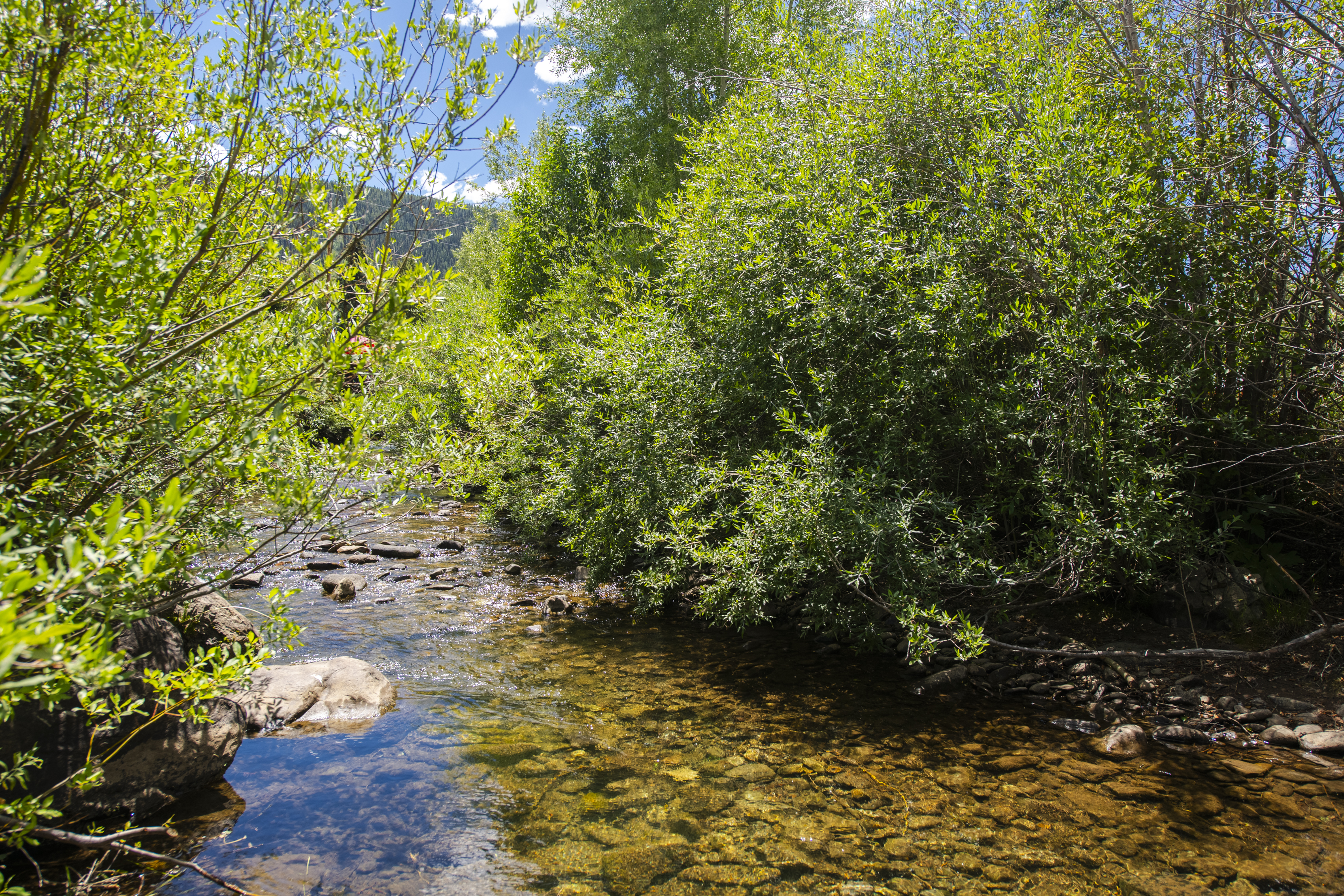  In-Town Homesite in Crested Butte - 物件實景