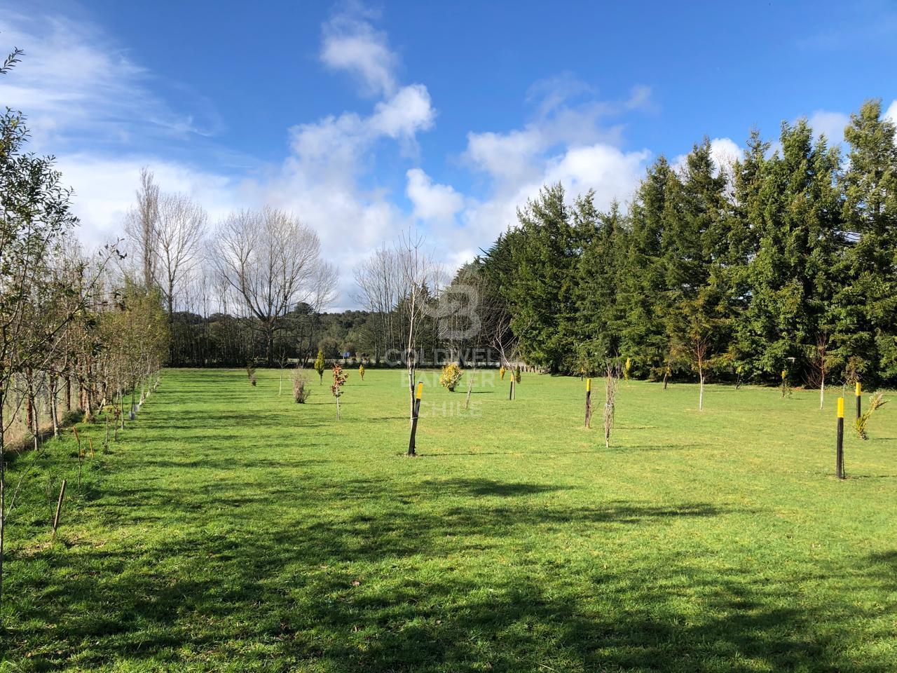 Puerto Varas, Chile, ,Residential,For Sale,1993342