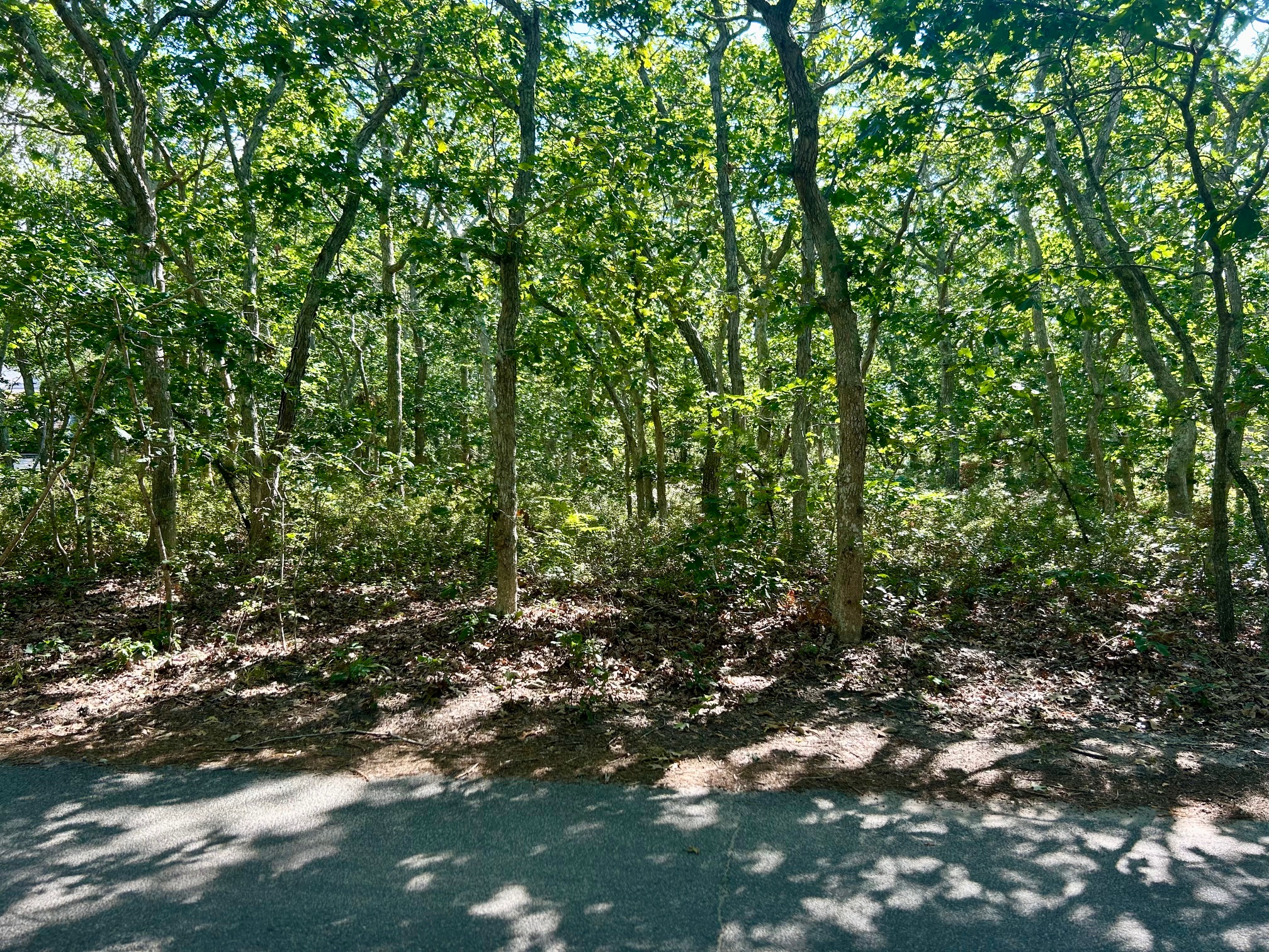  Land in Edgartown - 物件實景