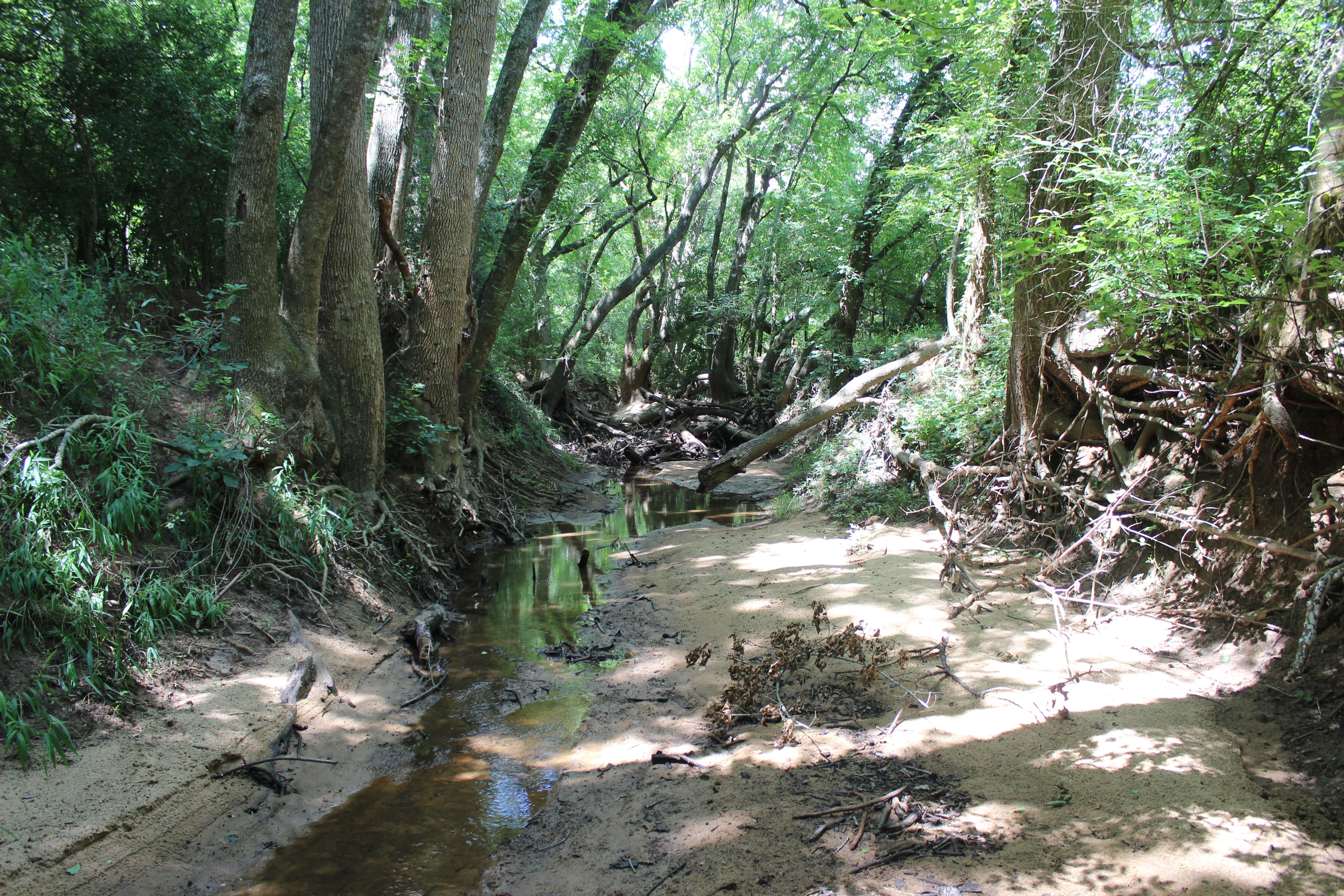 Buck Branch Ranch - 物件實景