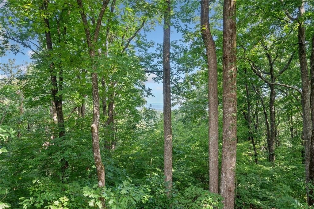 5 Tally Mountain Road N, Jasper, Georgia, 30143, United States, 4 Bedrooms Bedrooms, ,4 BathroomsBathrooms,Residential,For Sale,5 Tally Mountain Road N,1584324