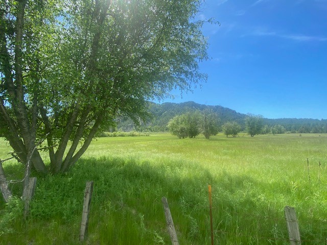 Priest River, Idaho, 83856, United States, ,Land,For Sale,1983206