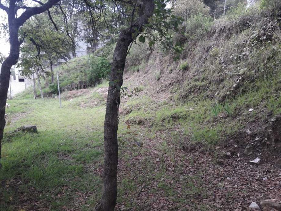 Castillo de Nottingham, Atizapán de Zaragoza, Estado de México, 52938, Mexico, 1 Bedroom Bedrooms, ,Residential,For Sale,Castillo de Nottingham,1443318