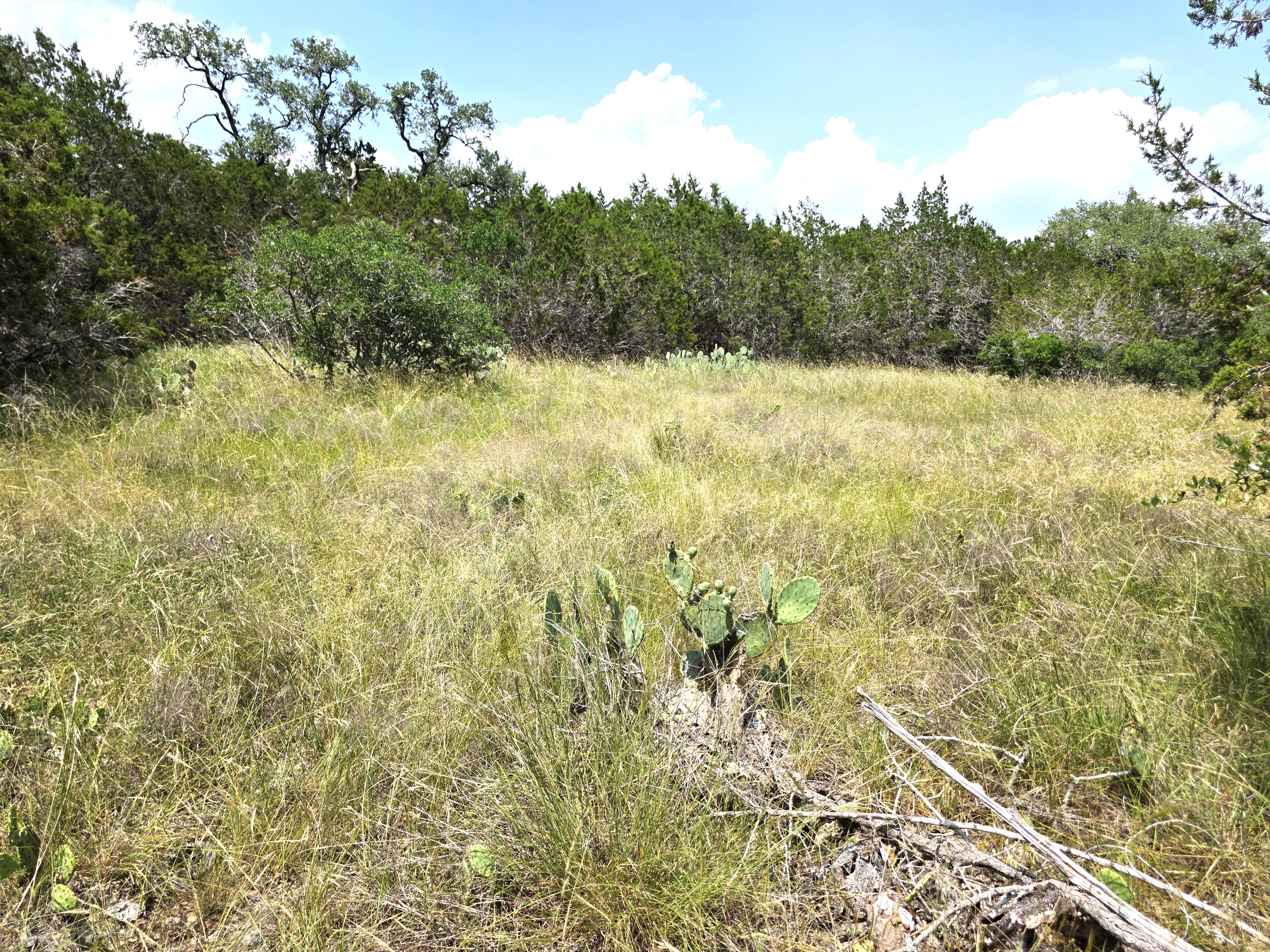 San Marcos, Texas, 78666, United States, ,Land,For Sale,1976108