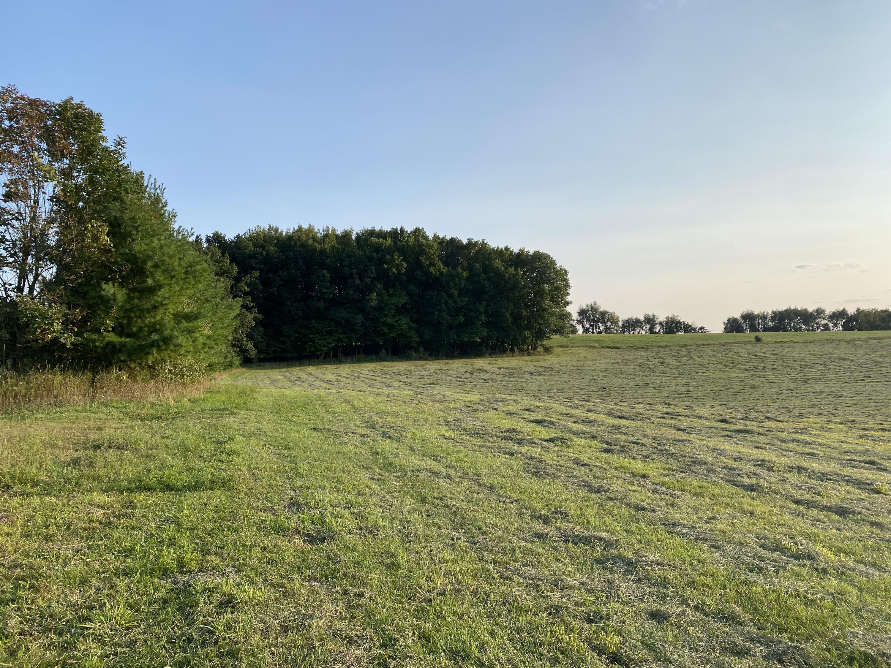 Lakeview, Michigan, 48850, United States, ,Land,For Sale,1942163