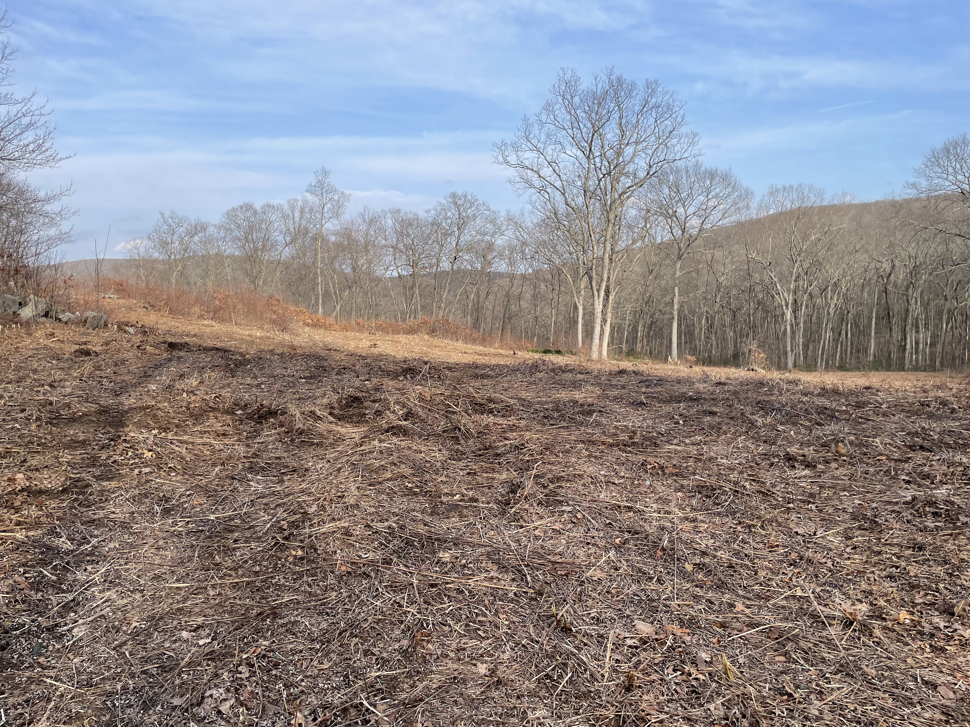  197 Tinker Hill Road - 物件實景