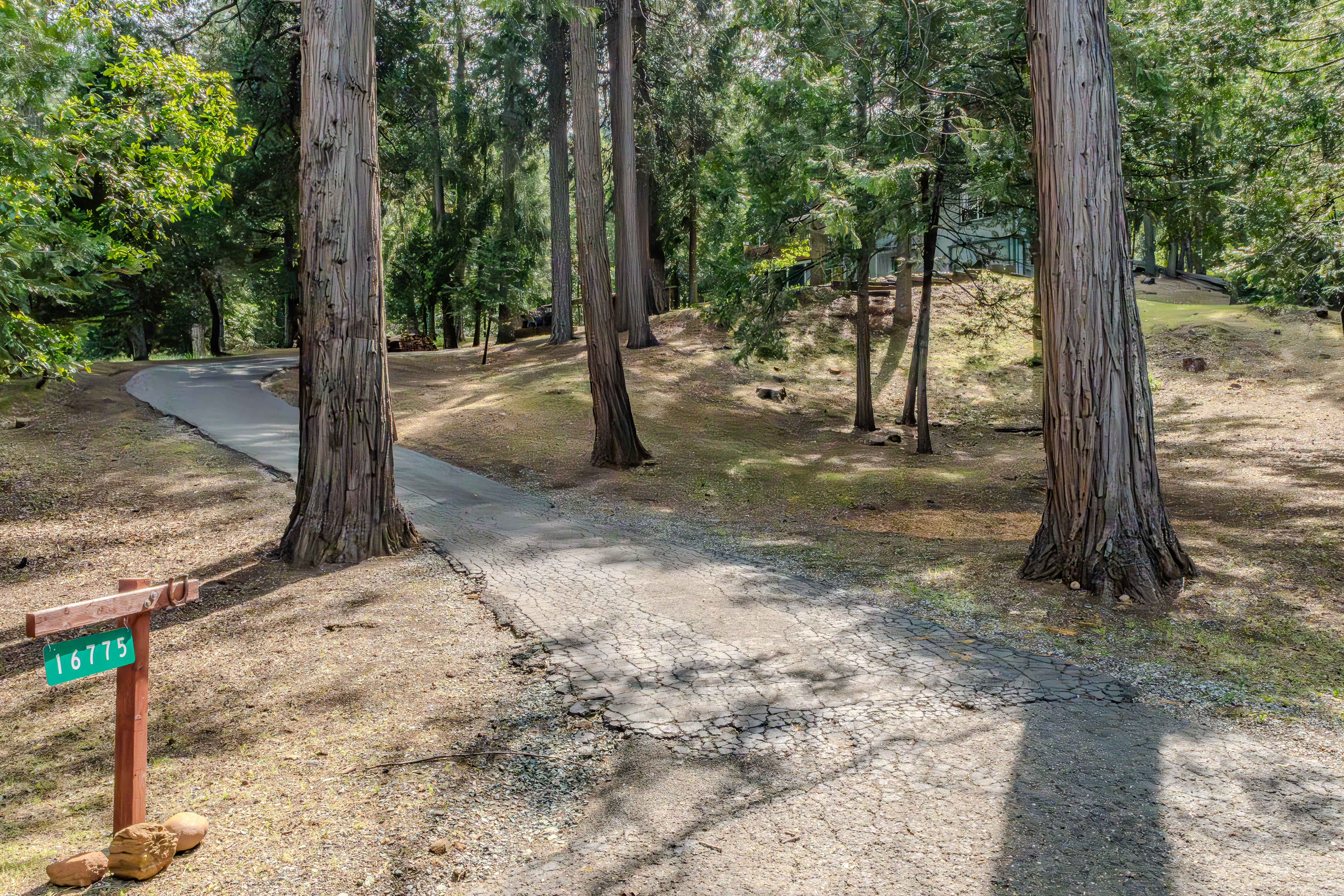  16775 Silver Drive South, Pioneer, CA 95666 - 物件實景