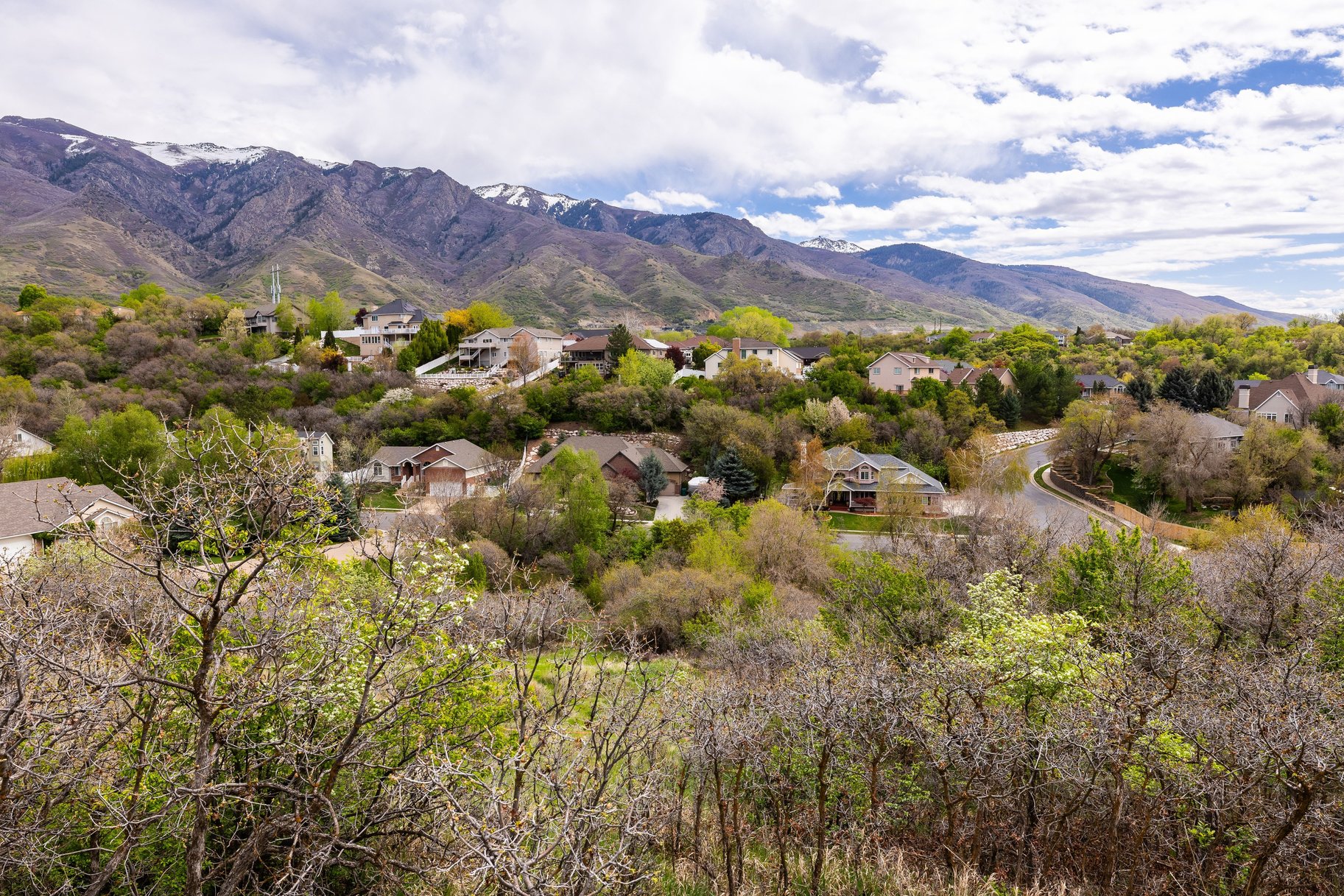  1.47 Acre Lot In East Layton With Endless Possibilities - 物件實景