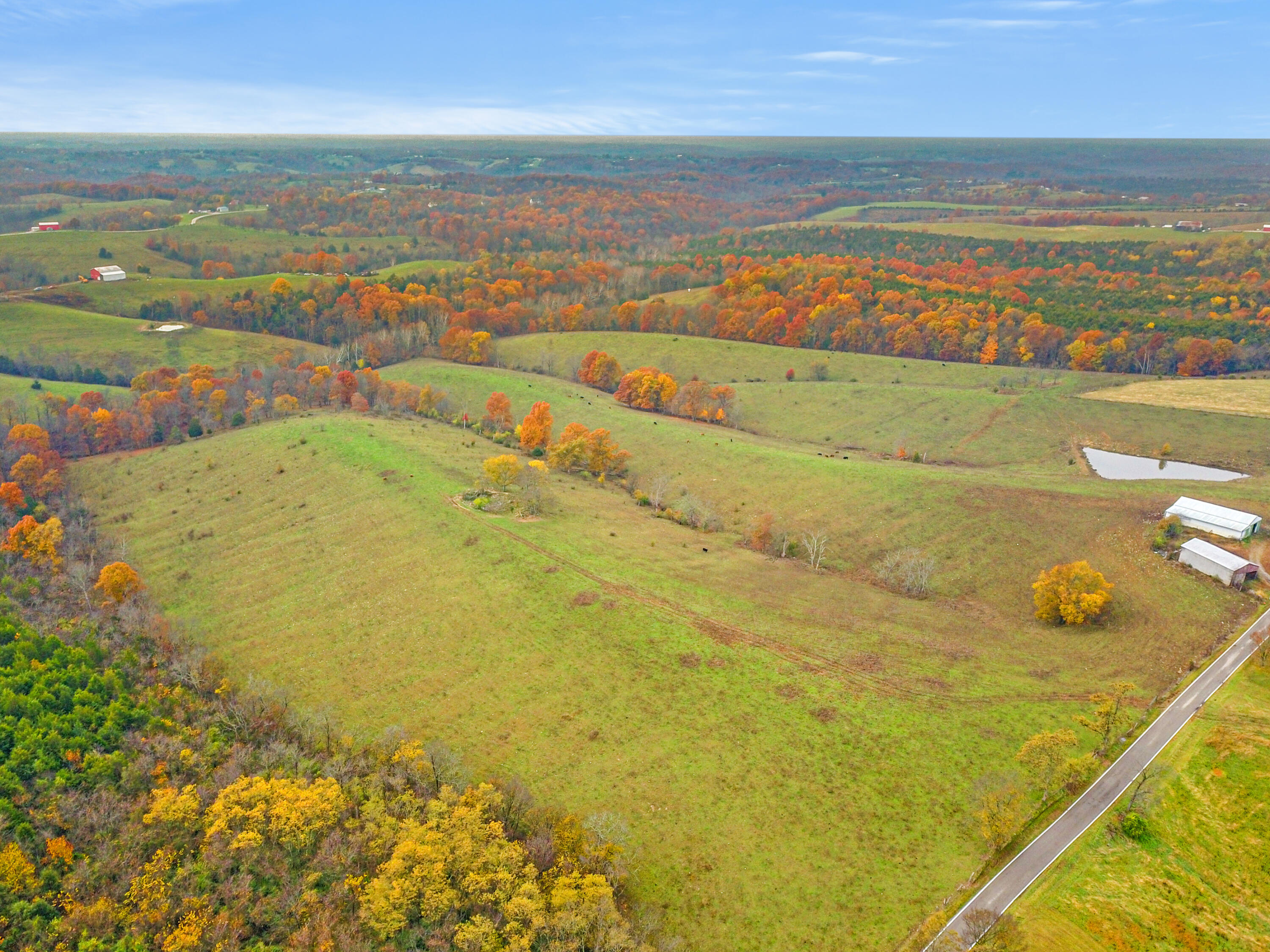 Williamstown, Kentucky, 41097, United States, ,Land,For Sale,1995668