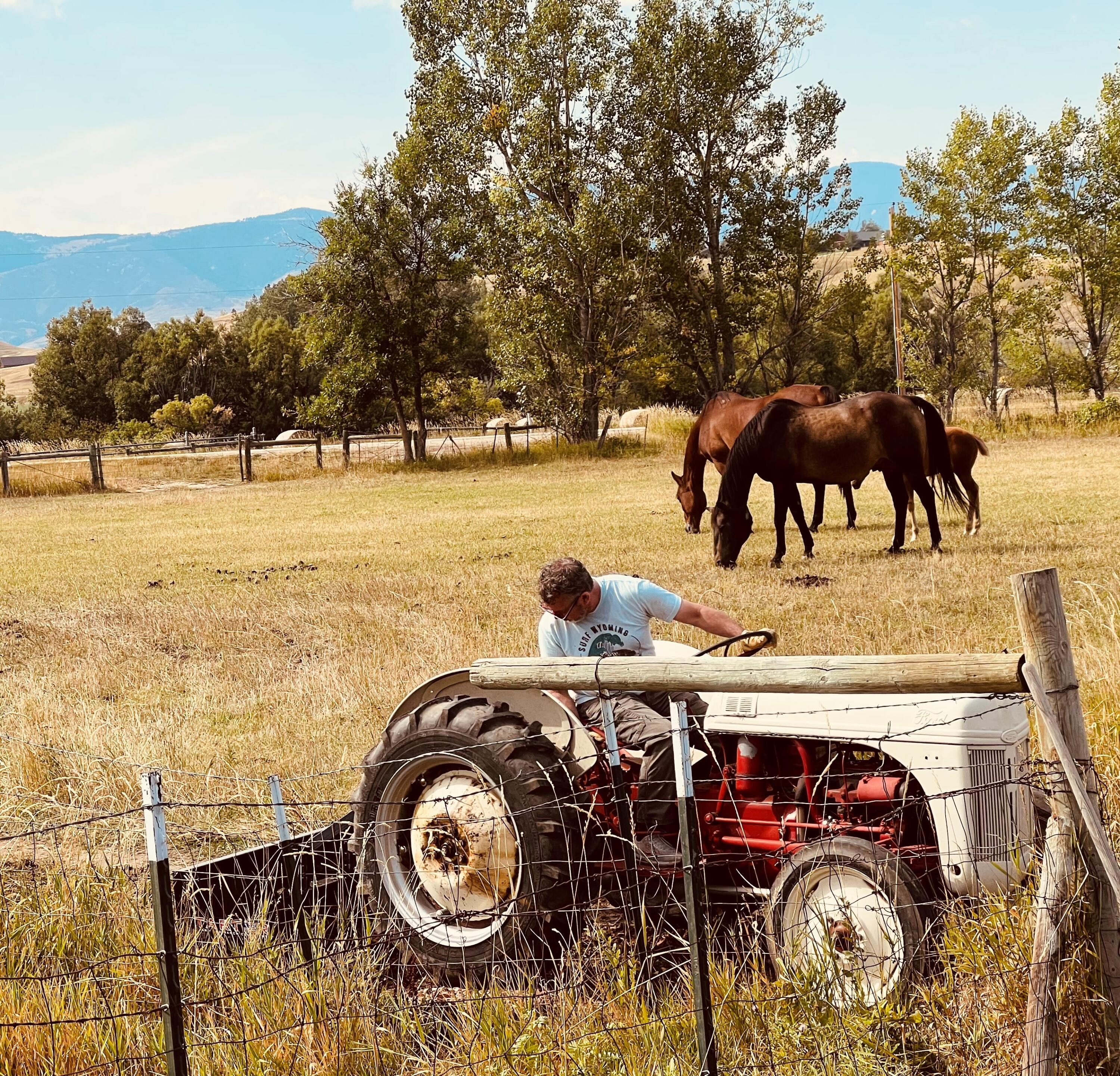 TBD HWY 87, Sheridan, Wyoming, 82801, United States, ,Residential,For Sale,TBD HWY 87,1612340