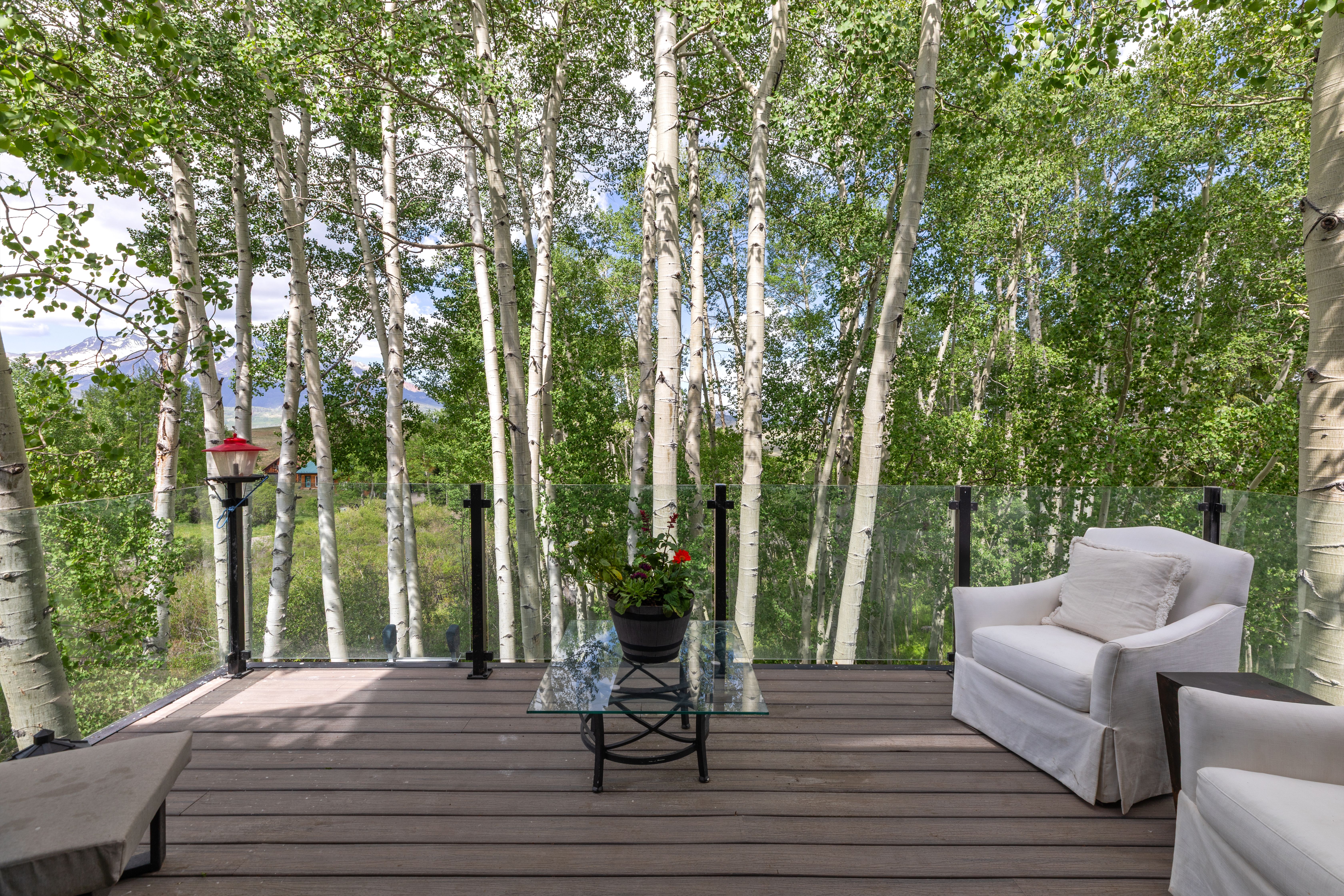  Secluded 4 Bed / 4 Bath Telluride Property - 物件實景