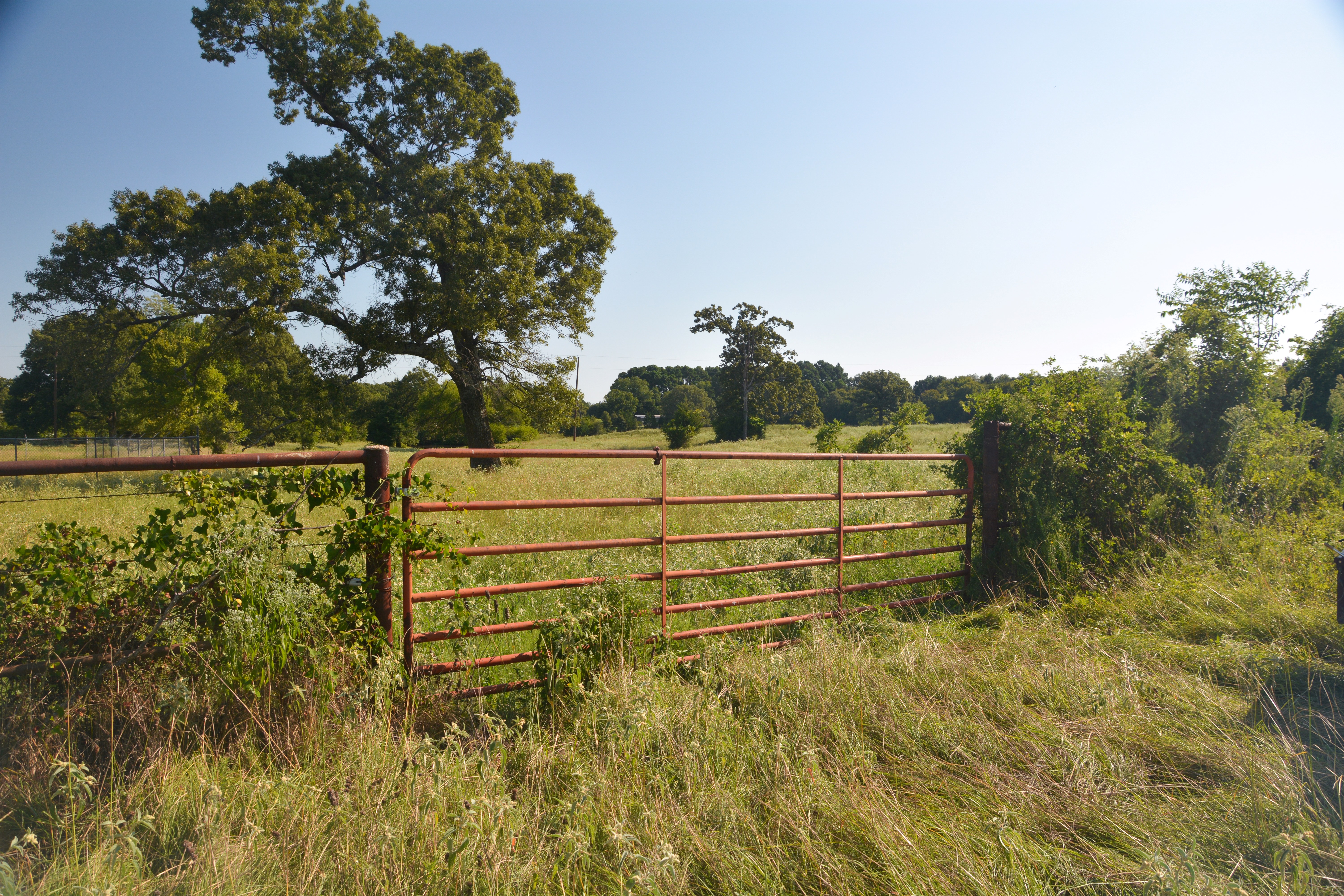 Grand Saline, Texas, 75140, United States, ,Residential,For Sale,1936963