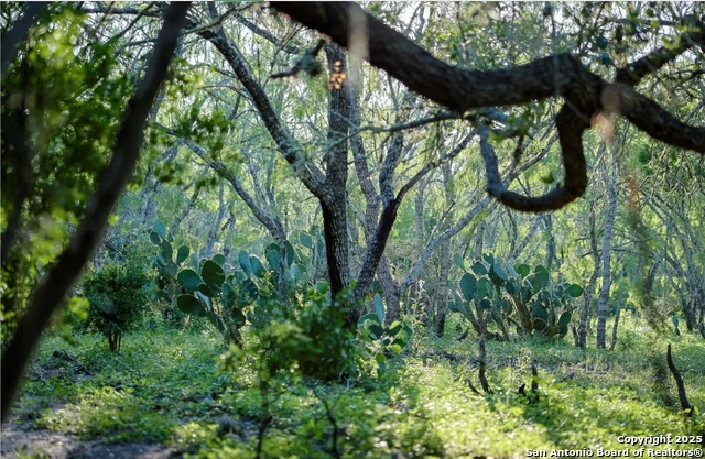 Beeville, Texas, 78102, United States, ,Land,For Sale,1988333