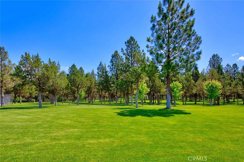 15733 Juniper Peak Road, Weed, California, 96094, United States, 5 Bedrooms Bedrooms, ,7 BathroomsBathrooms,Residential,For Sale,15733 Juniper Peak Road,1644367