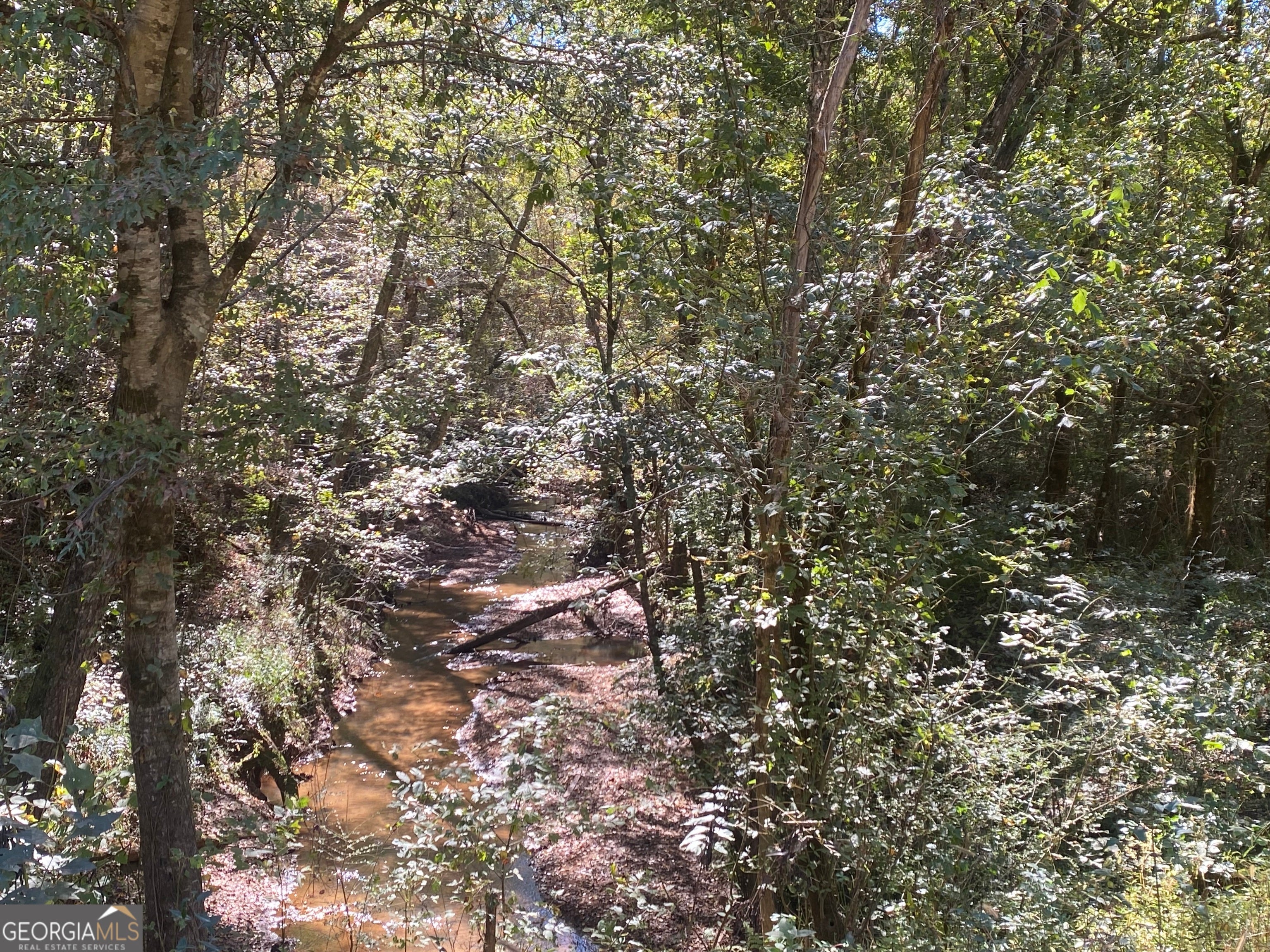 Forsyth, Georgia, 31029, United States, ,Land,For Sale,1907989