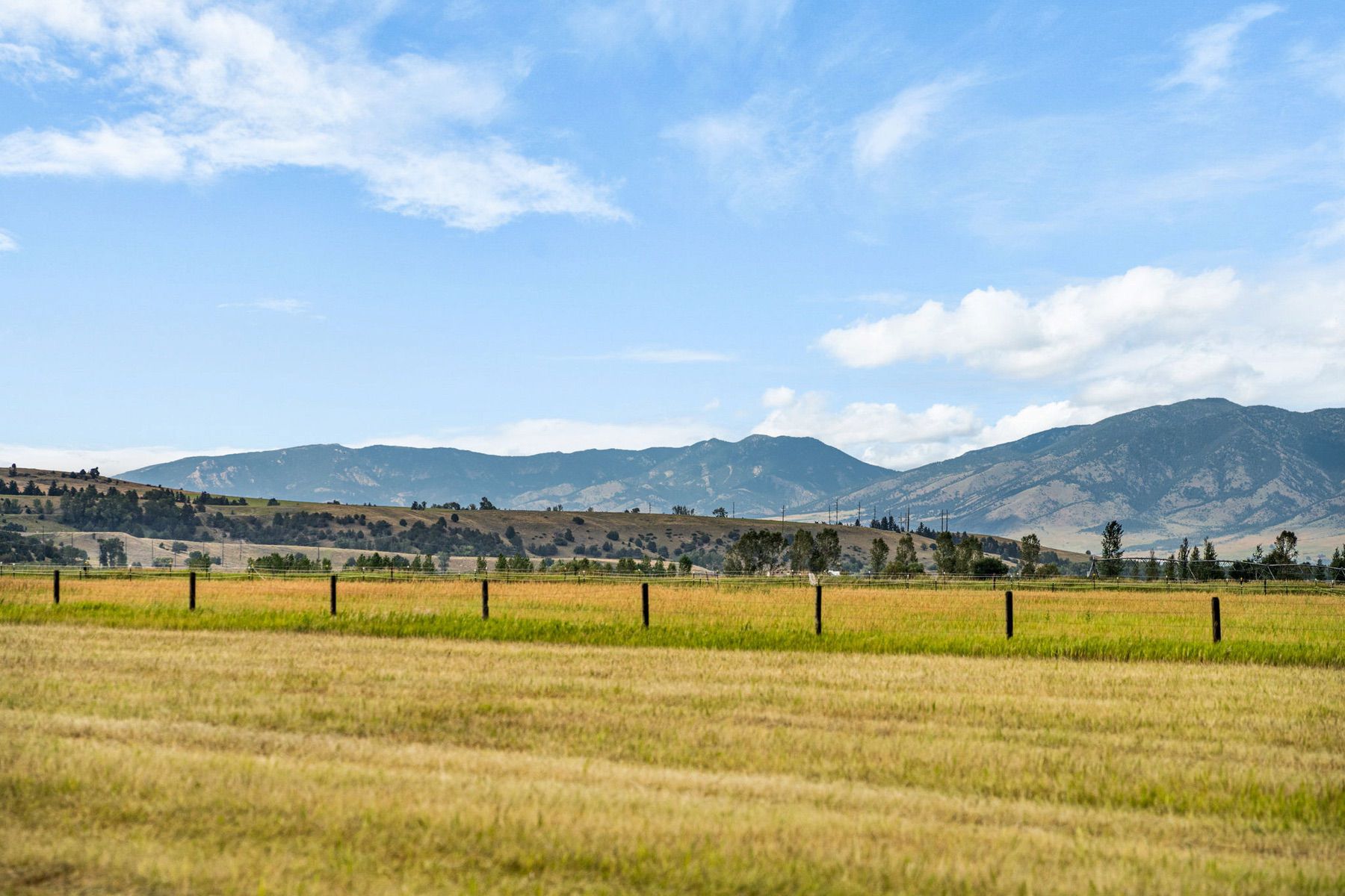  1687 Cottontail Rd - 物件實景
