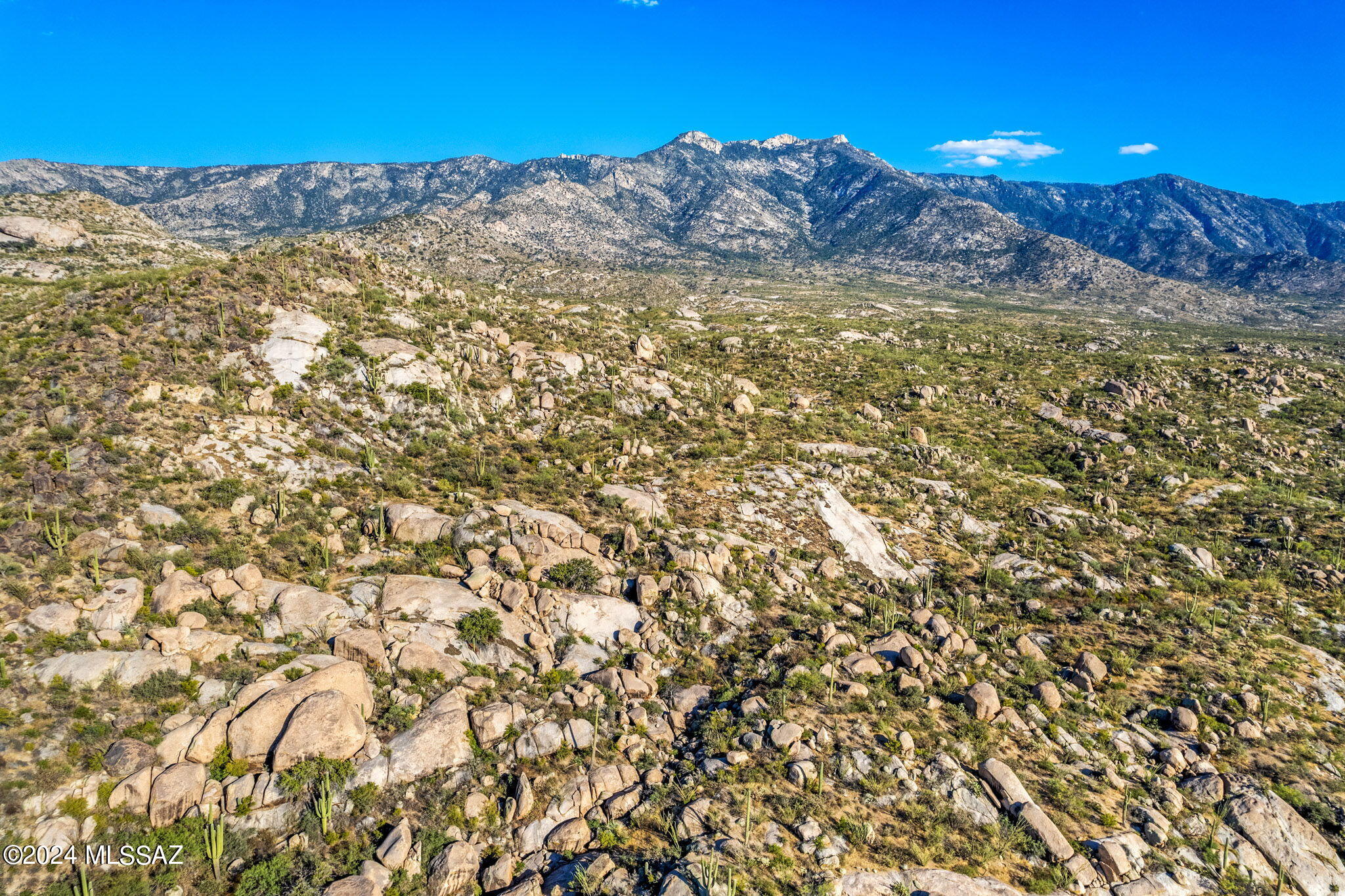 Tucson, Arizona, 85739, United States, ,Land,For Sale,1744993