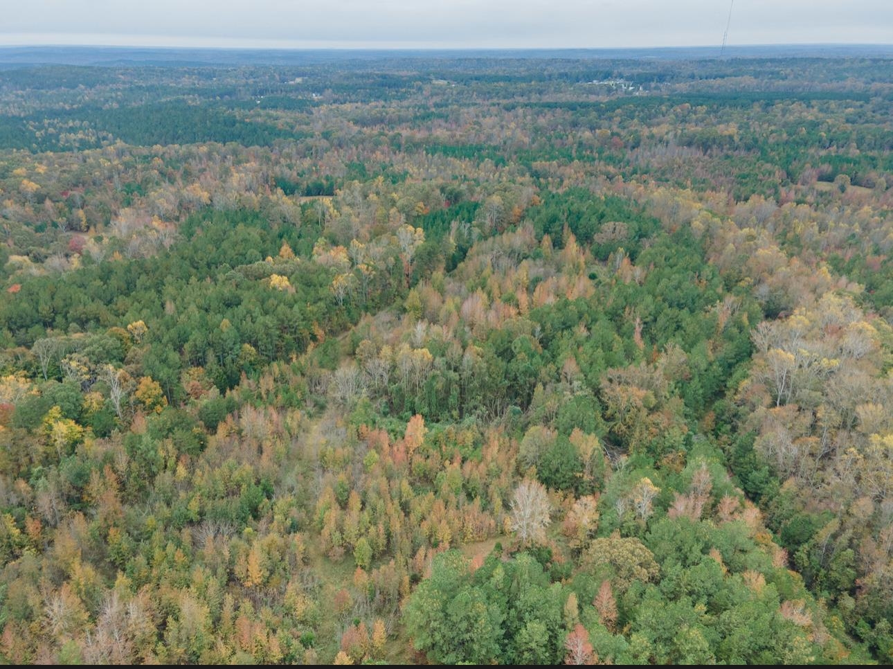 00 Highway 176 Bypass, Pacolet, South Carolina, 29372, United States, ,Land,For Sale,00 Highway 176 Bypass,1651812