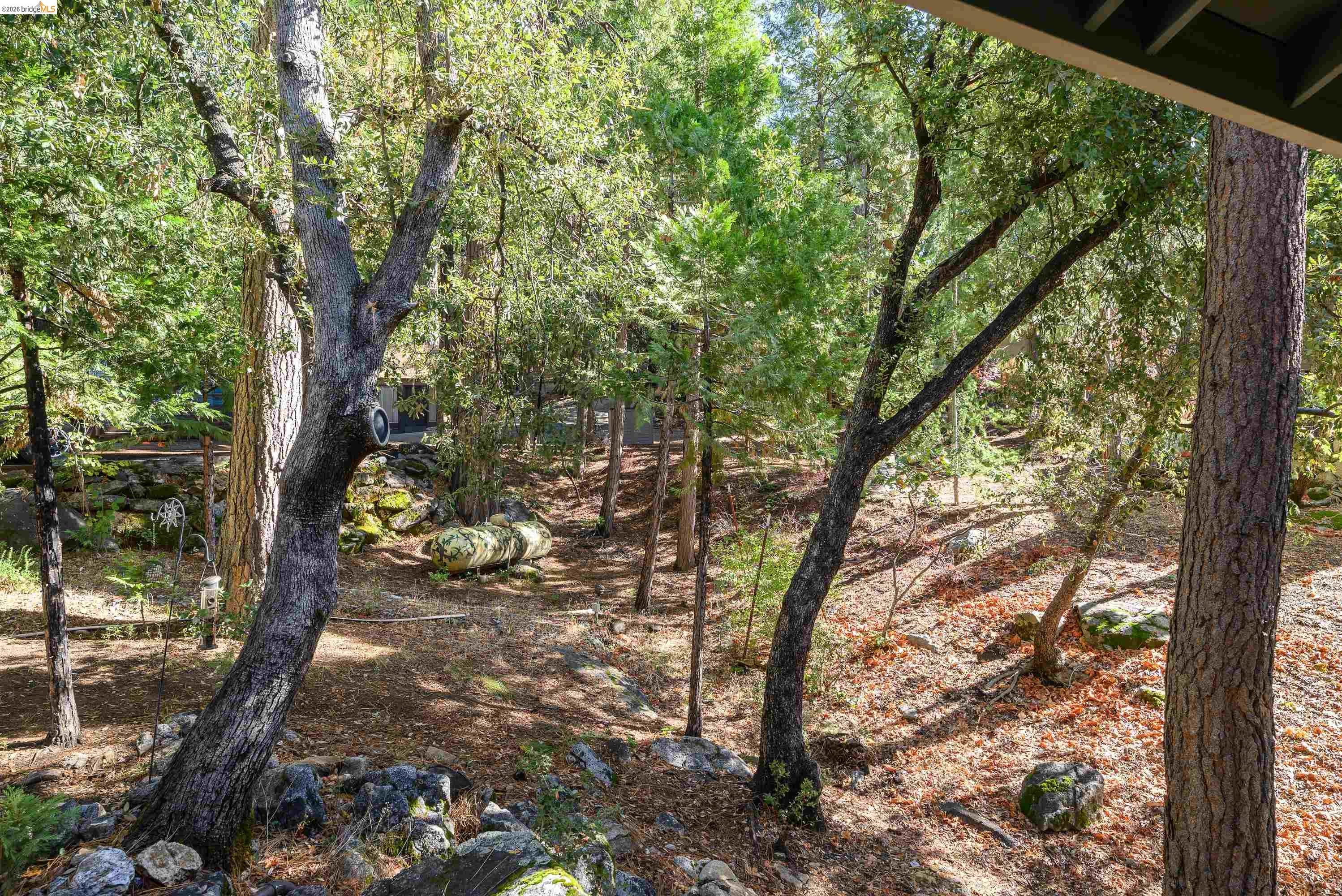 Twain Harte, California, 95383, United States, 4 Bedrooms Bedrooms, ,4 BathroomsBathrooms,Residential,For Sale,2033169
