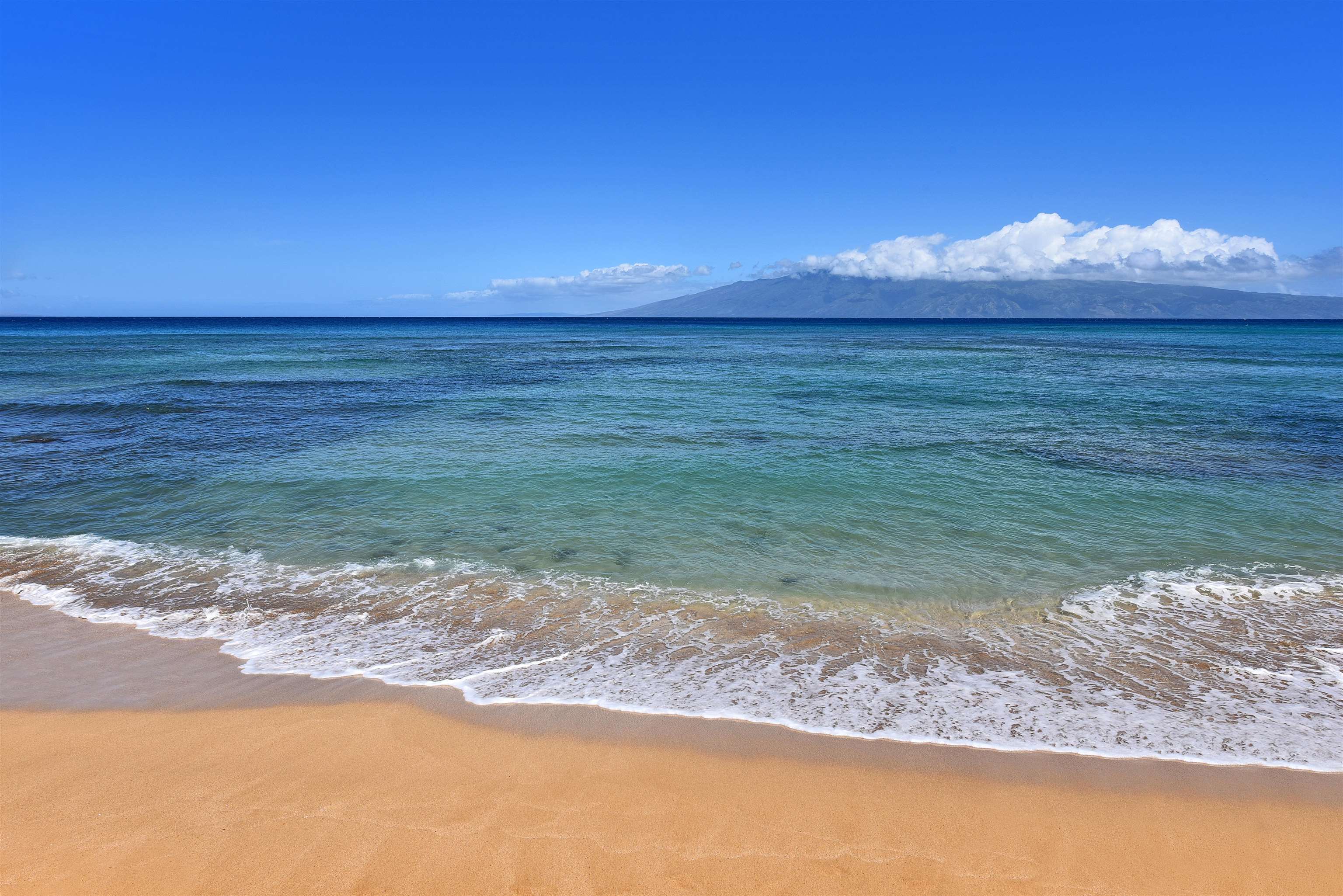 Lahaina, Hawaii, 96761, United States, 1 Bedroom Bedrooms, ,1 BathroomBathrooms,Residential,For Sale,1891036