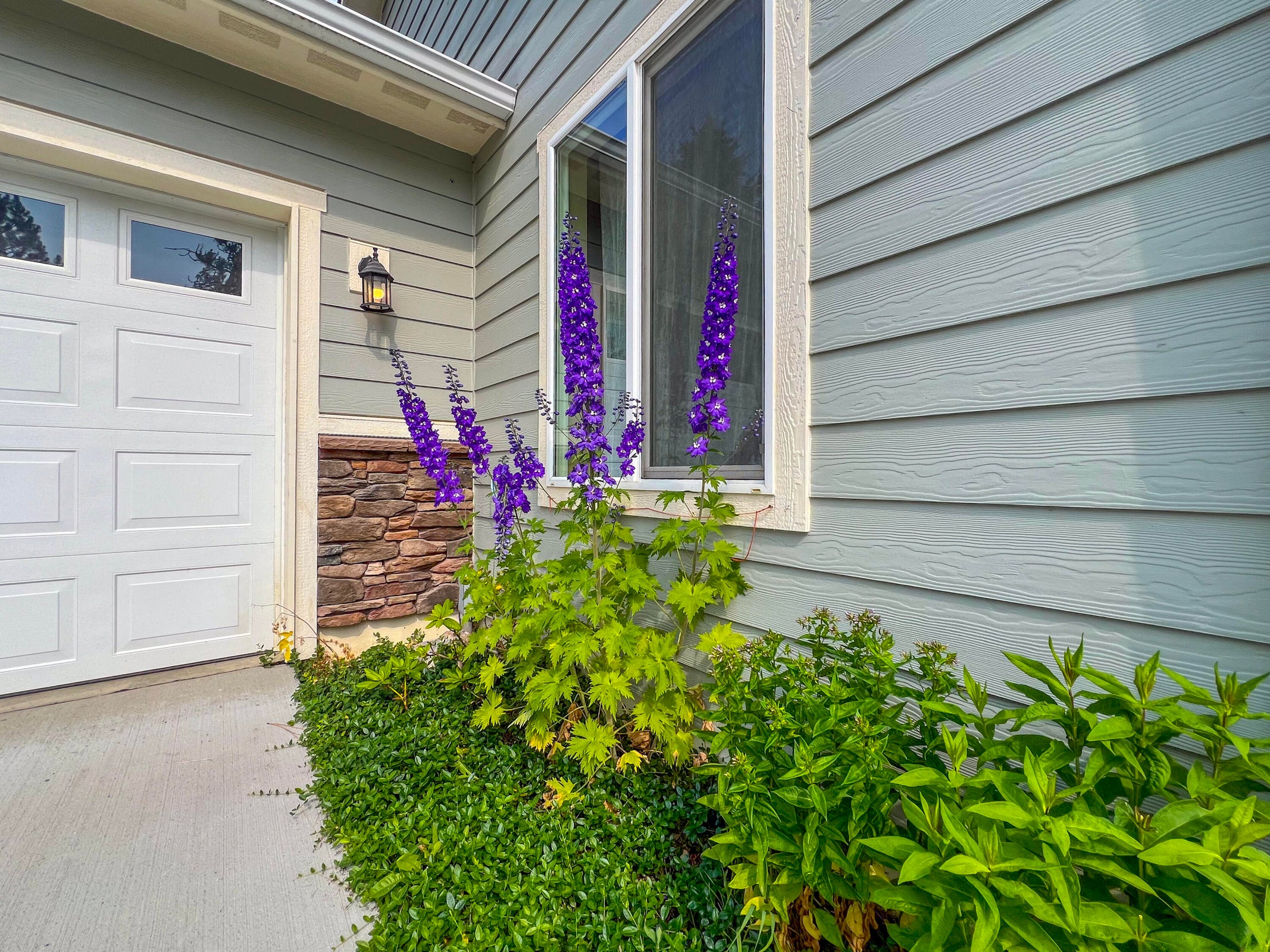Colville, Washington, 99114, United States, 3 Bedrooms Bedrooms, ,2 BathroomsBathrooms,Residential,For Sale,1928026