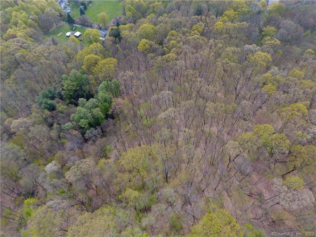 Prospect, Connecticut, 06712, United States, ,Land,For Sale,1752585