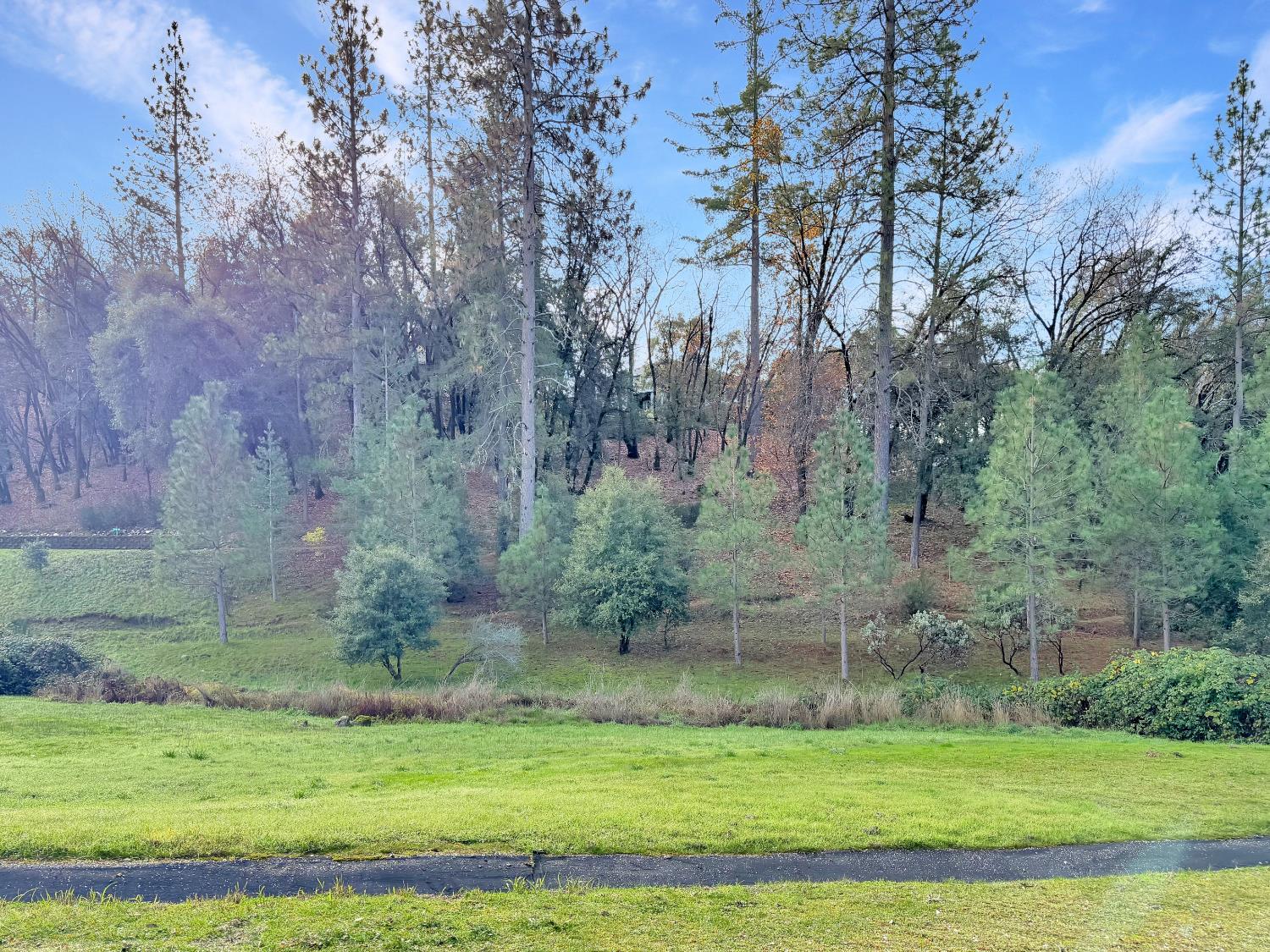 Colfax, California, 95713, United States, 5 Bedrooms Bedrooms, ,3 BathroomsBathrooms,Residential,For Sale,2002832