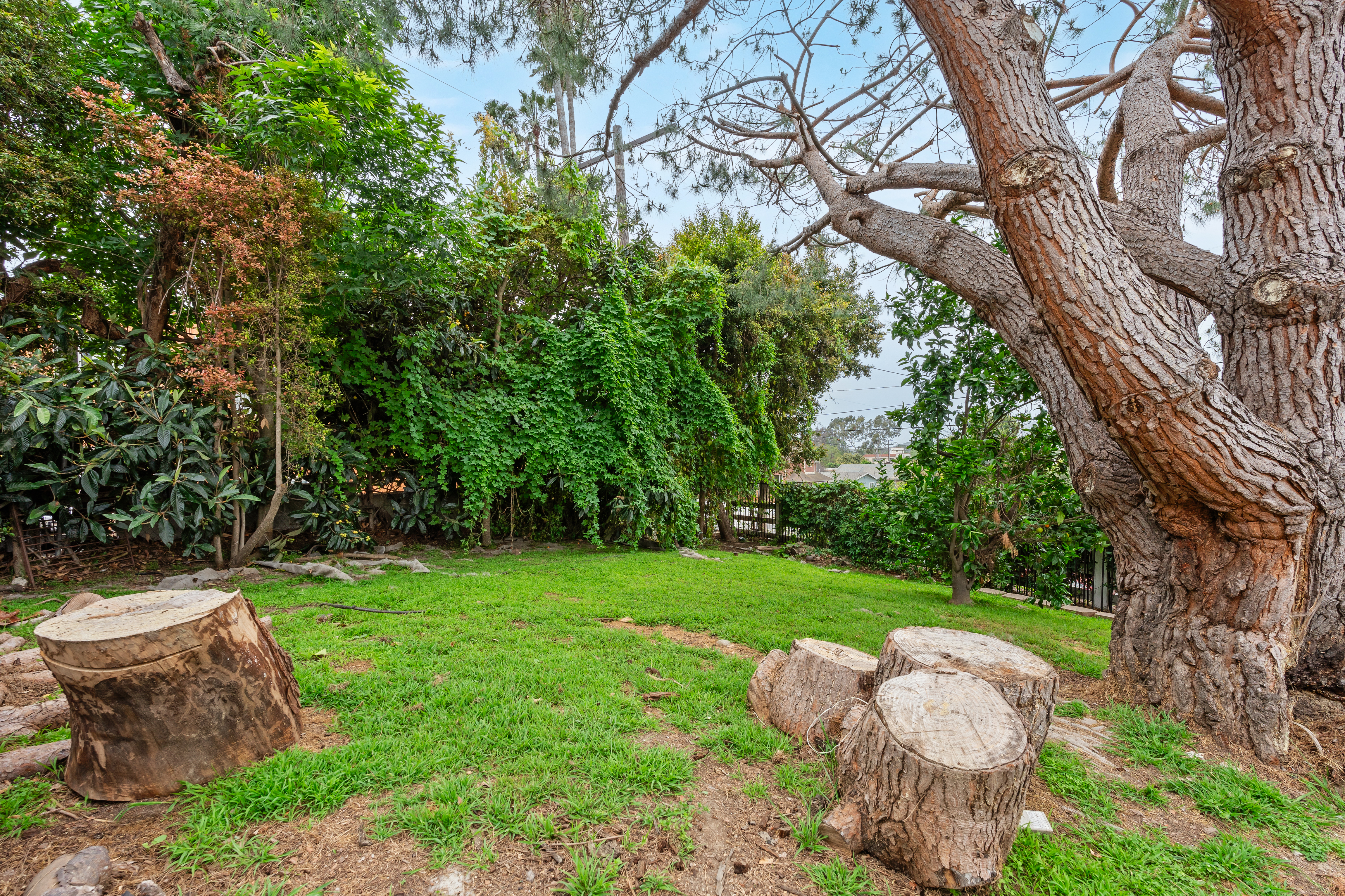  614 Cedar Street, Ventura, CA 93001 - 物件實景