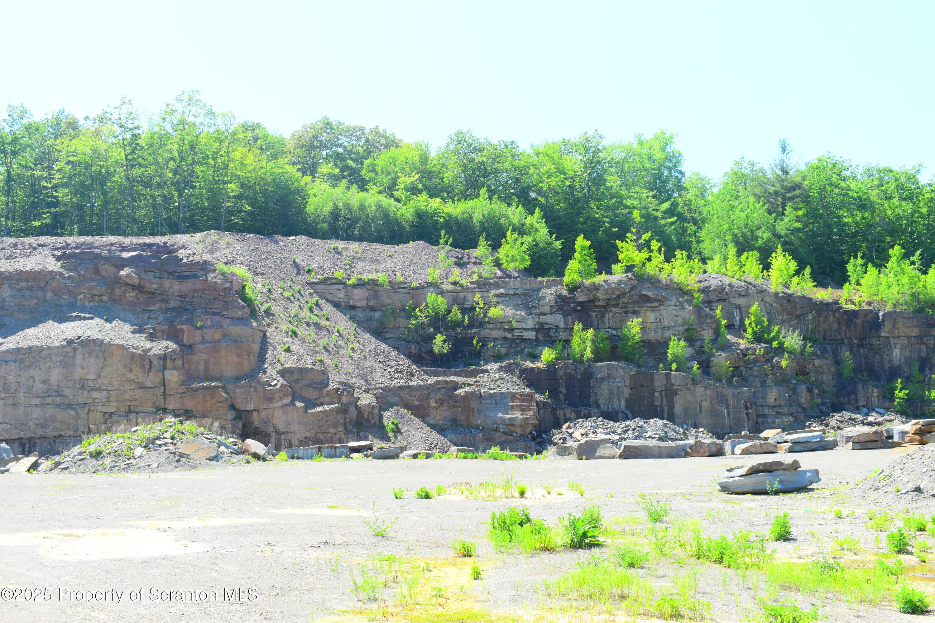 State Route 92, Susquehanna, Pennsylvania, 18847, United States, ,Land,For Sale,State Route 92,1665959