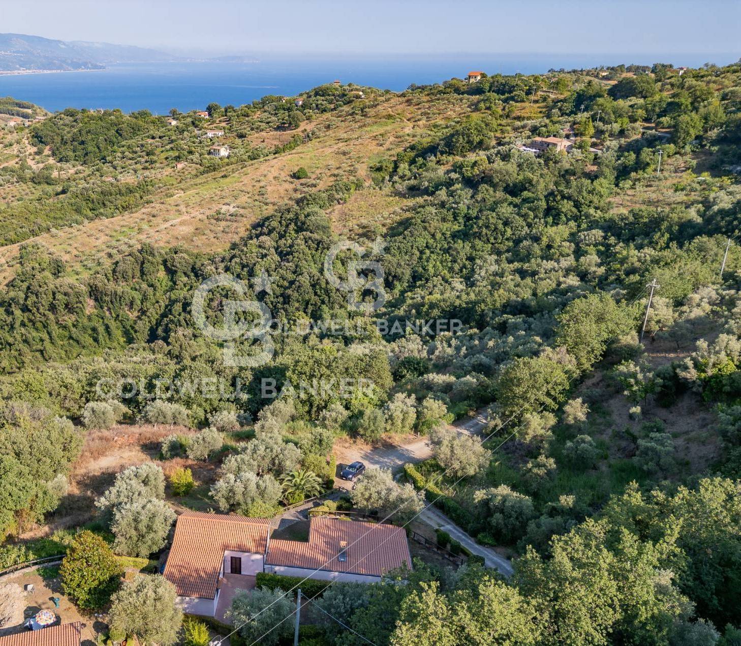 Contrada San Leonardo, Pollica, Salerno, 84068, IT, 6 Bedrooms Bedrooms, ,8 BathroomsBathrooms,Residential,For Sale,Contrada San Leonardo,1673347