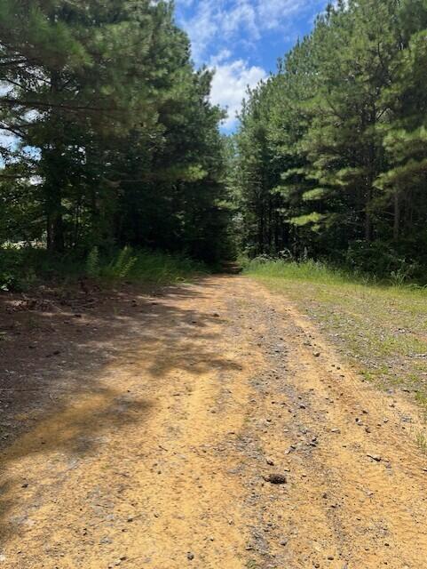 Graysville, Tennessee, 37338, United States, ,Residential,For Sale,1943907