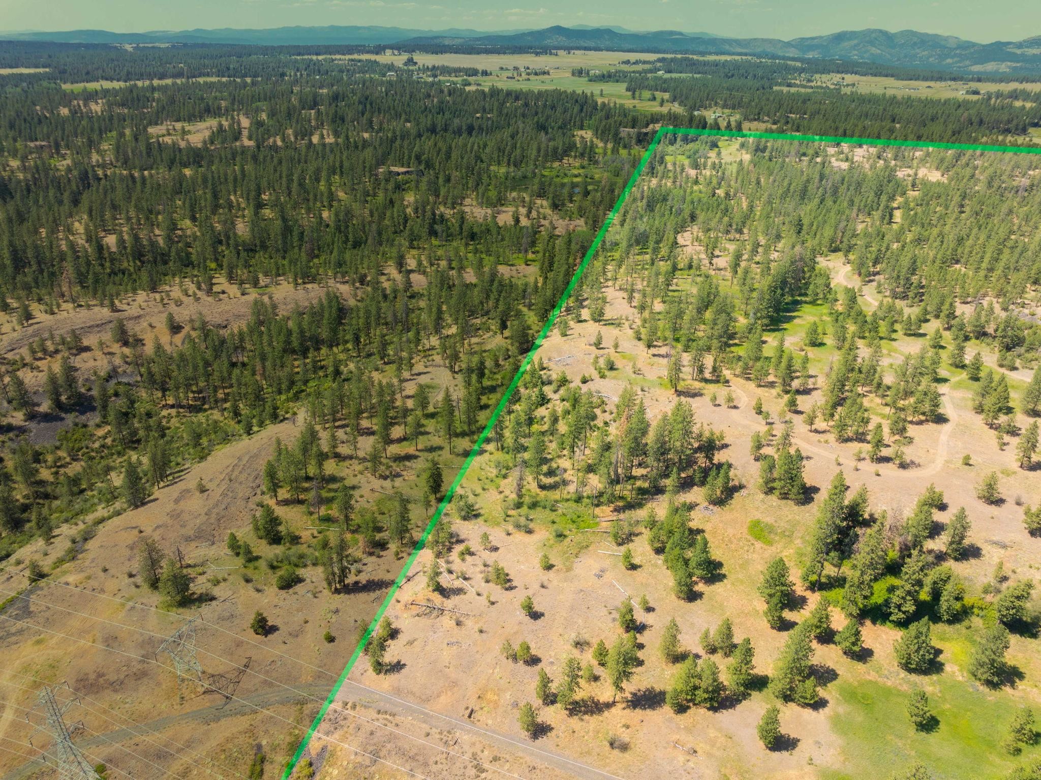 Nine Mile Falls, Washington, 99026, United States, ,Land,For Sale,1960887