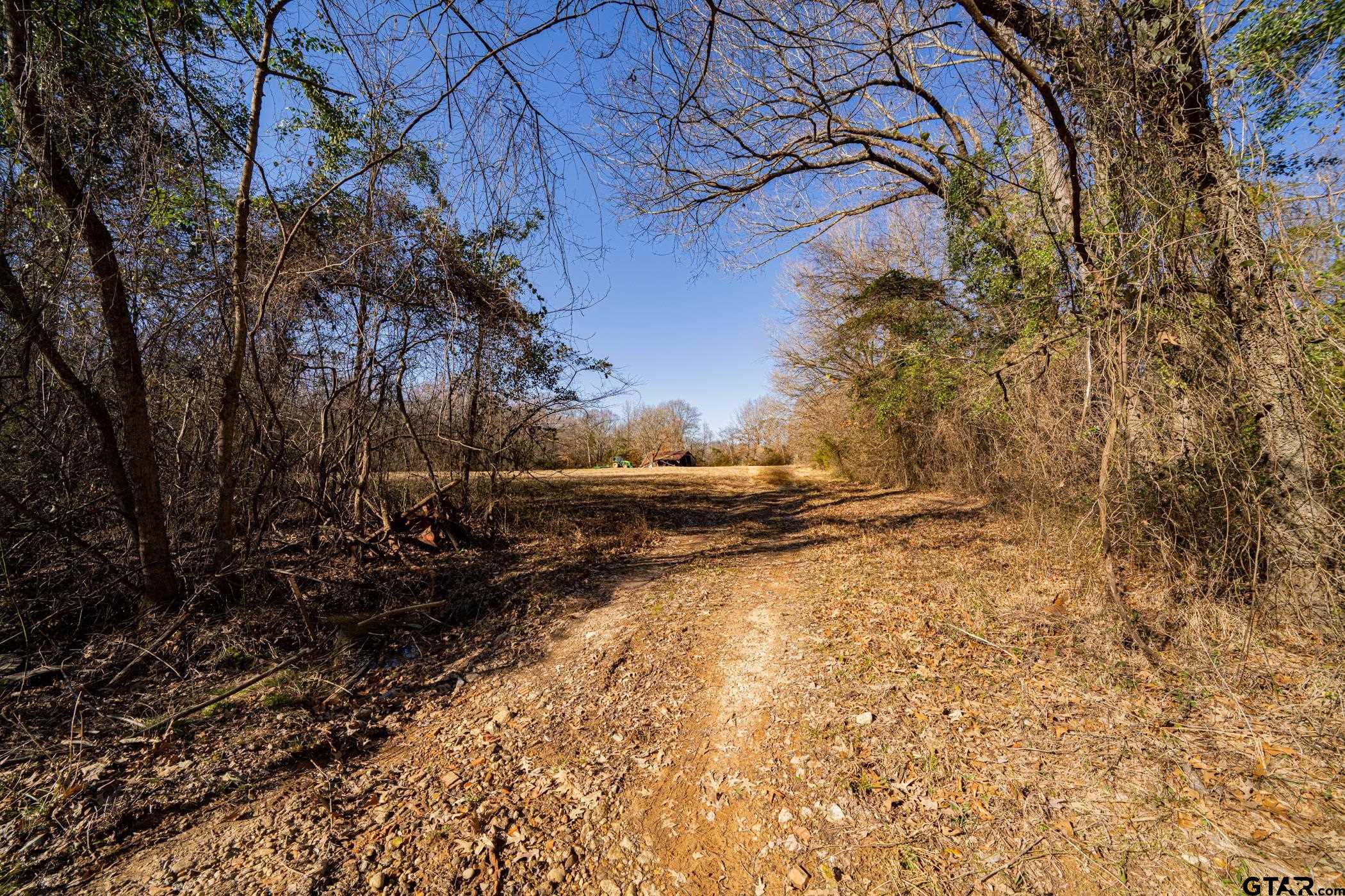 Dekalb, Texas, 75559, United States, ,Land,For Sale,1983481